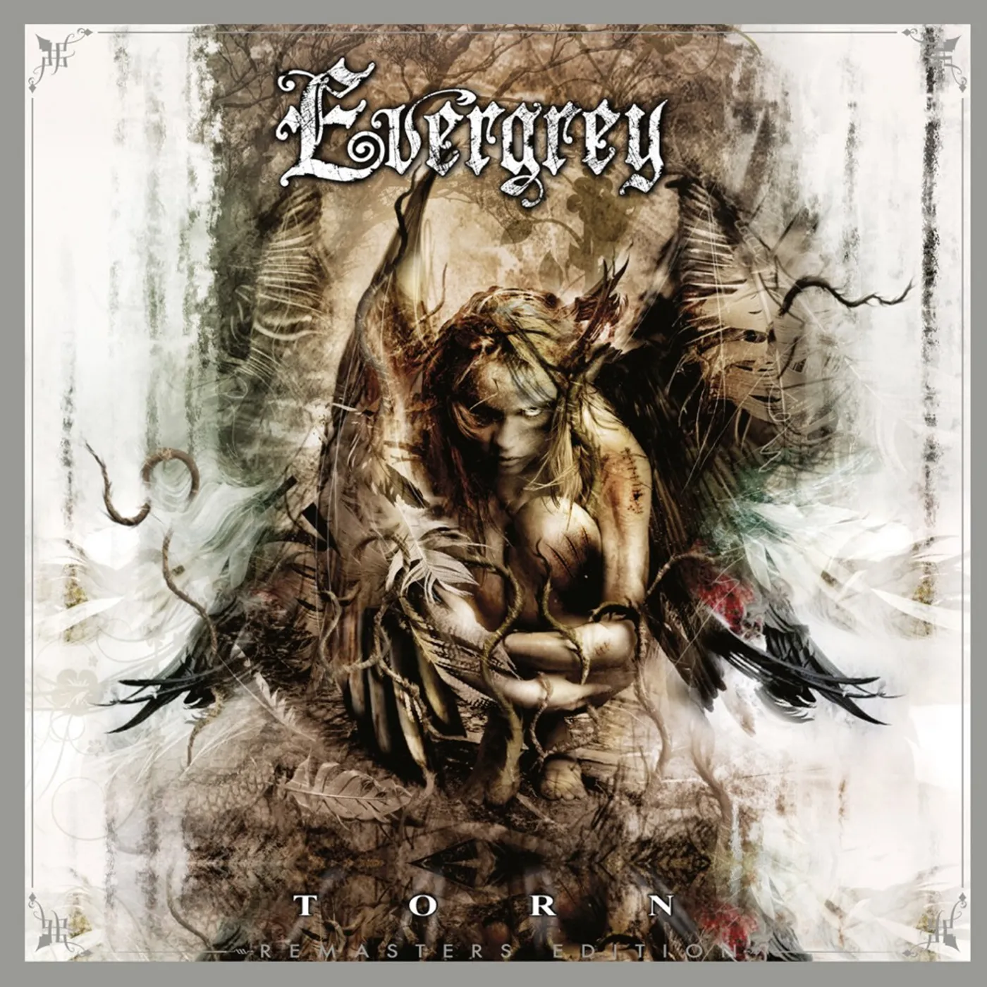 Evergrey TORN (REMASTERS EDITION) (GOLD VINYL) Vinyl Record