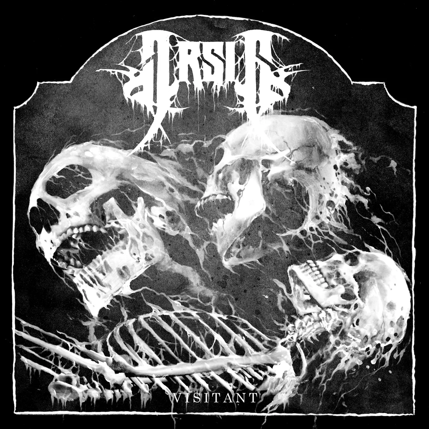 Arsis Visitant Vinyl Record