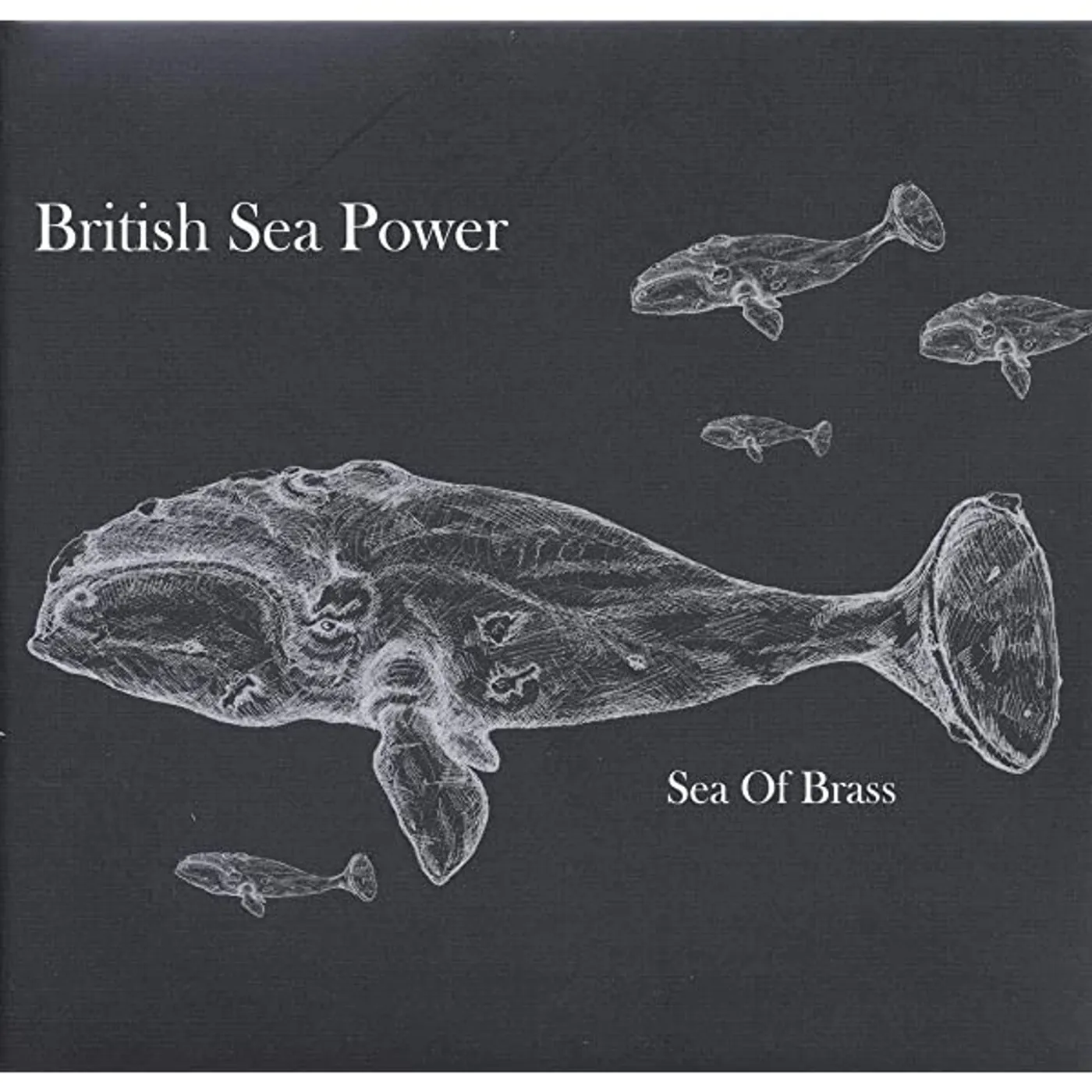 British Sea Power Sea Of Brass Vinyl Record