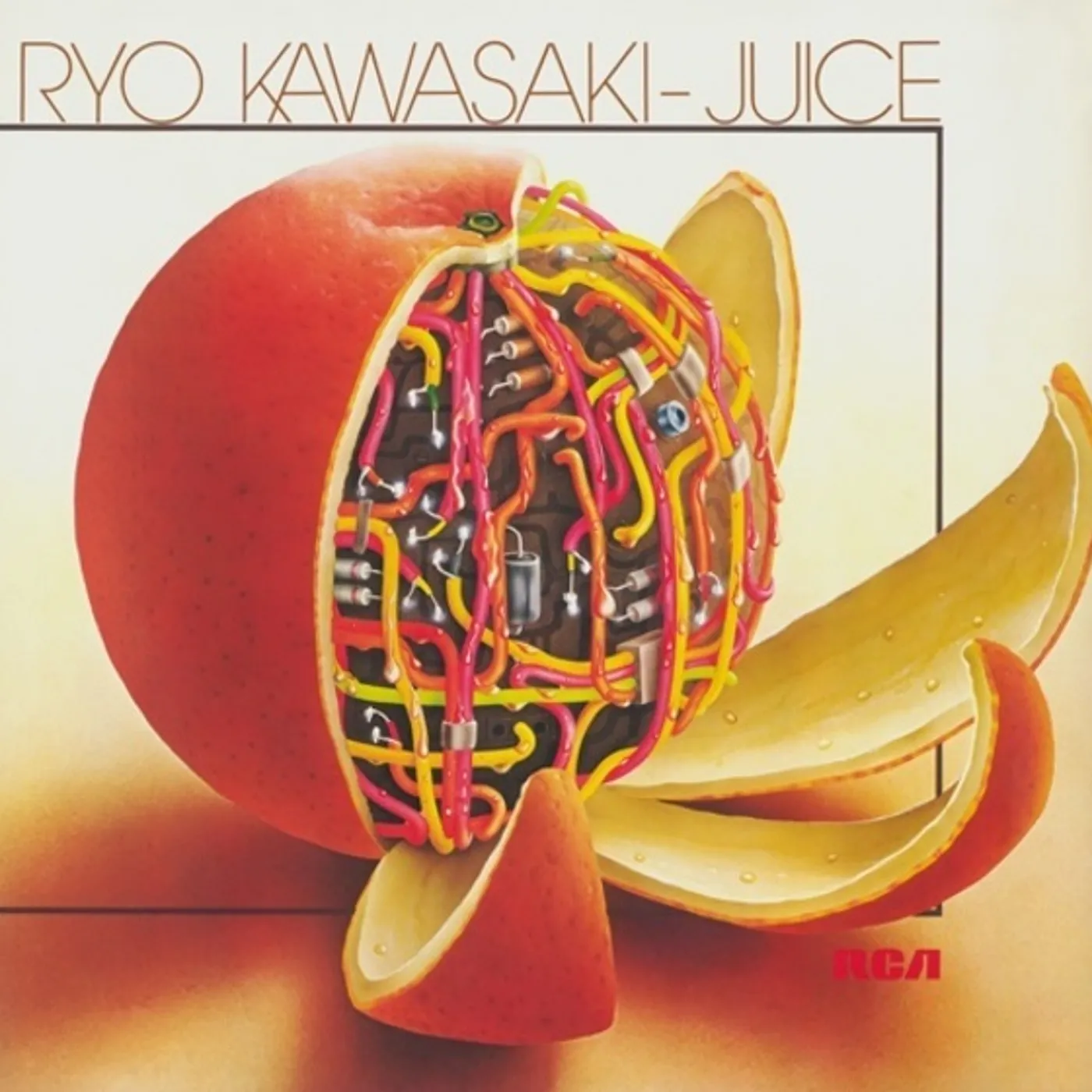 Ryo Kawasaki Juice Vinyl Record