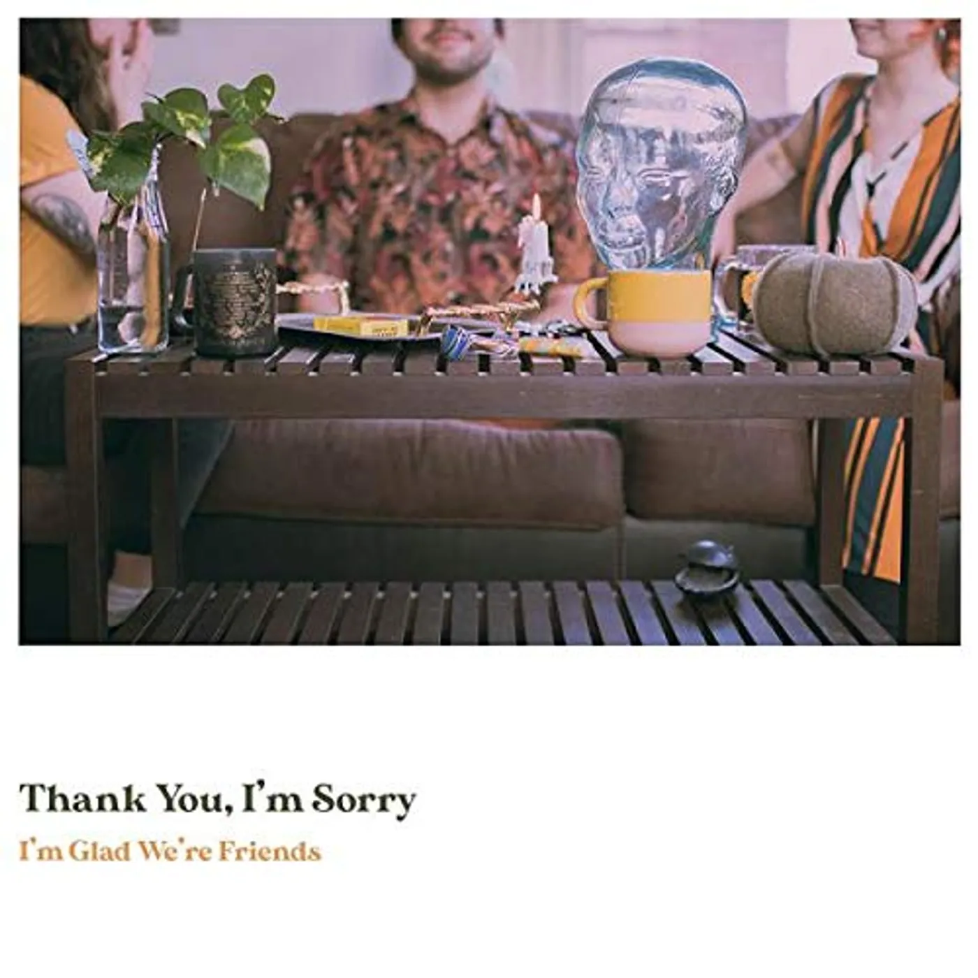 Thank You, I'm Sorry I'm Glad We're Friends Vinyl Record