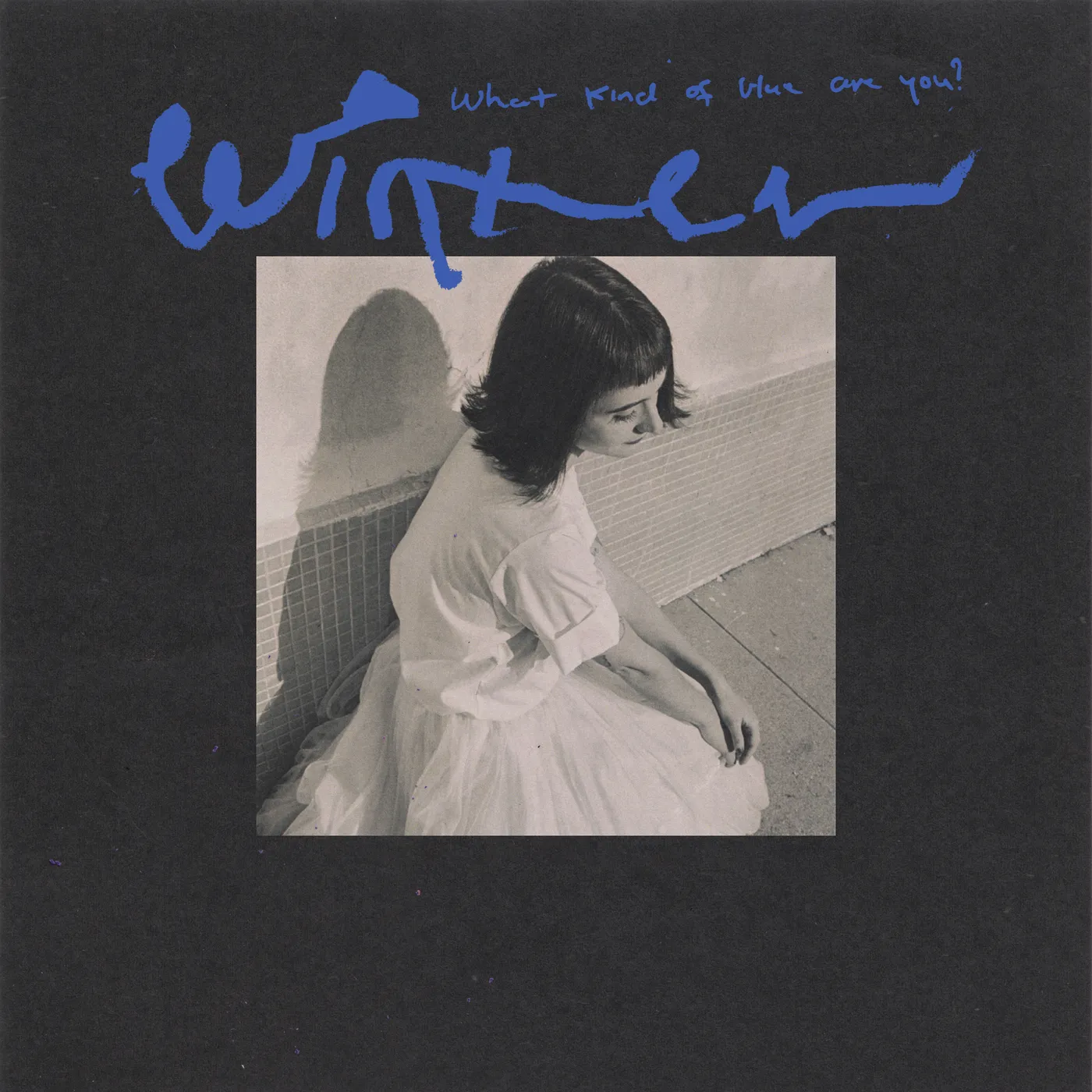 Winter What Kind Of Blue Are You? Vinyl Record