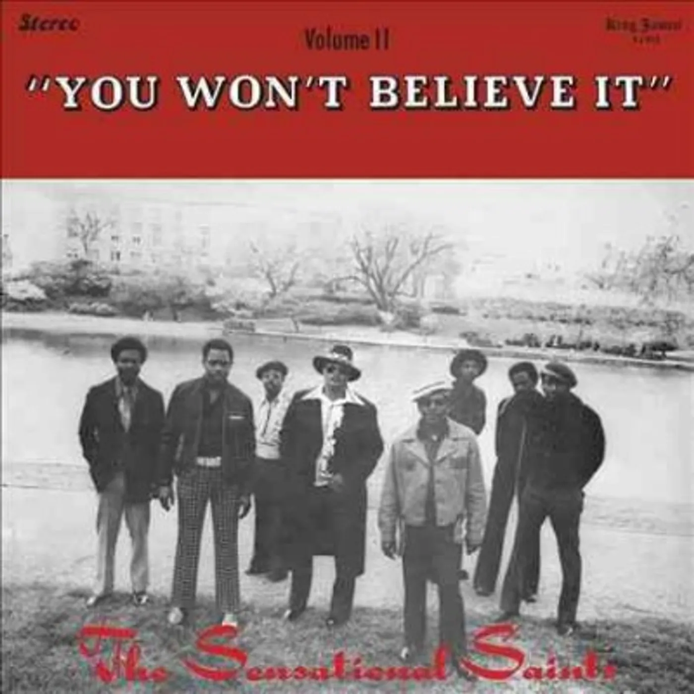 Sensational Saints You Won't Believe it Vinyl Record