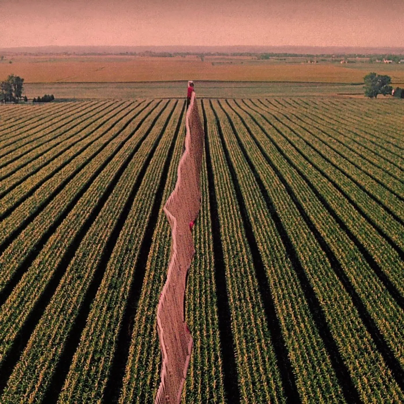 Possible Humans Everybody Split Vinyl Record