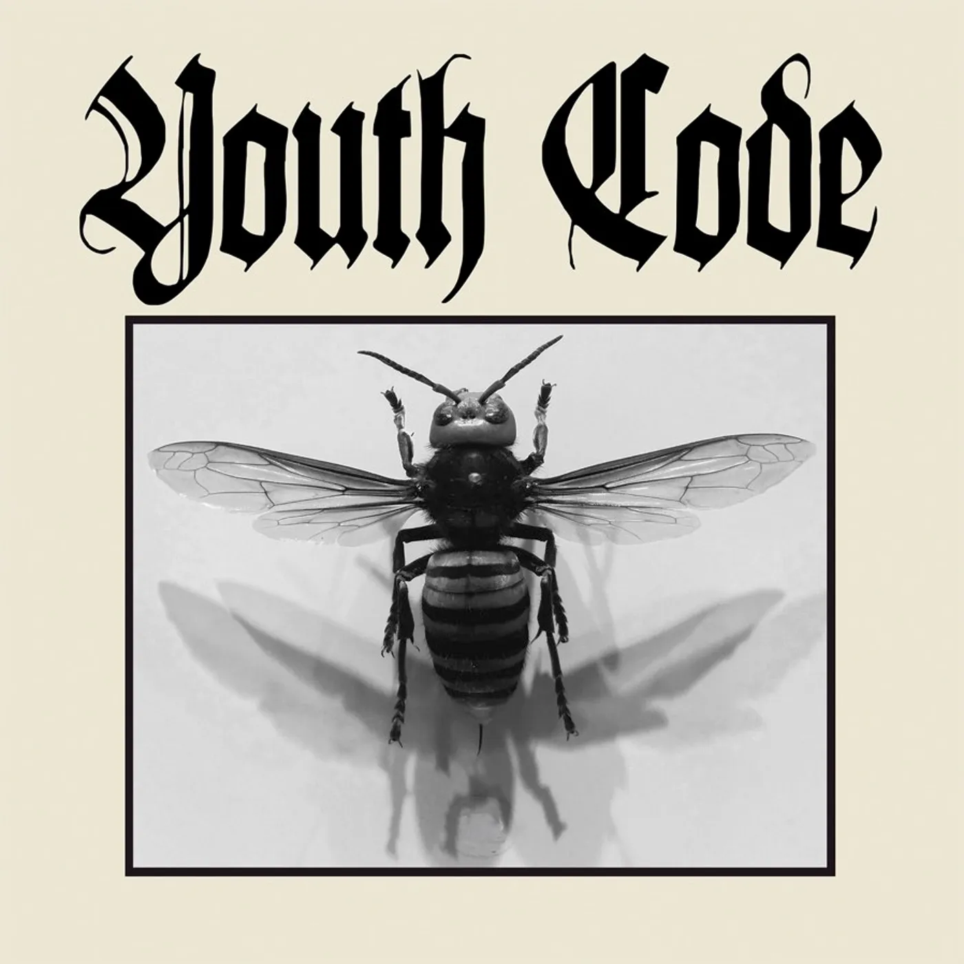 Youth Code Anagnorisis Vinyl Record