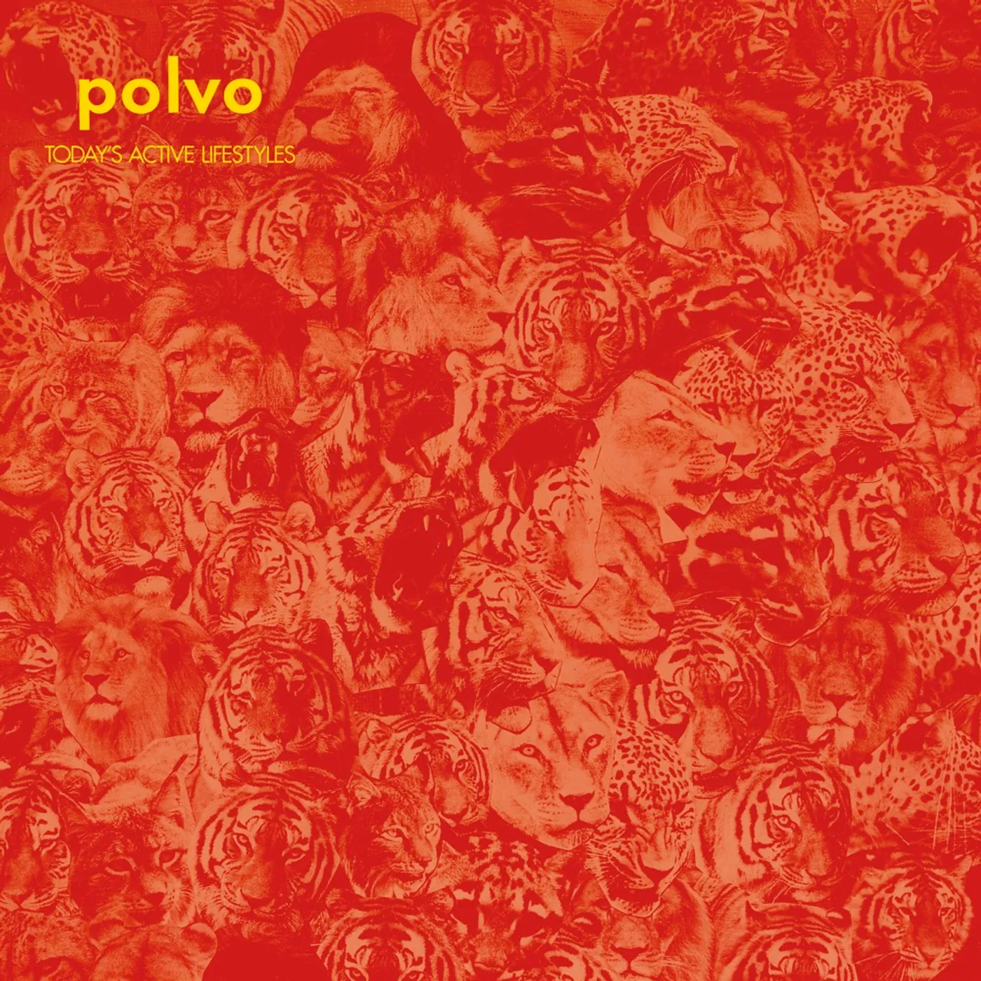 Polvo Today's Active Lifestyles Vinyl Record