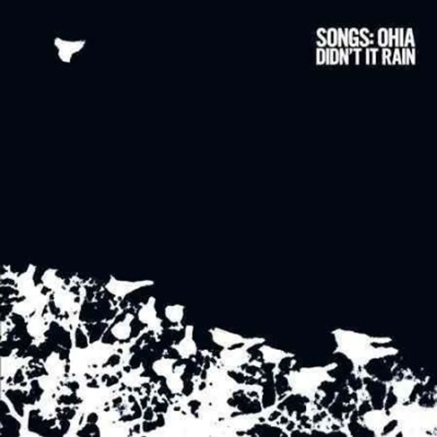 Songs: Ohia Didn't It Rain Vinyl Record