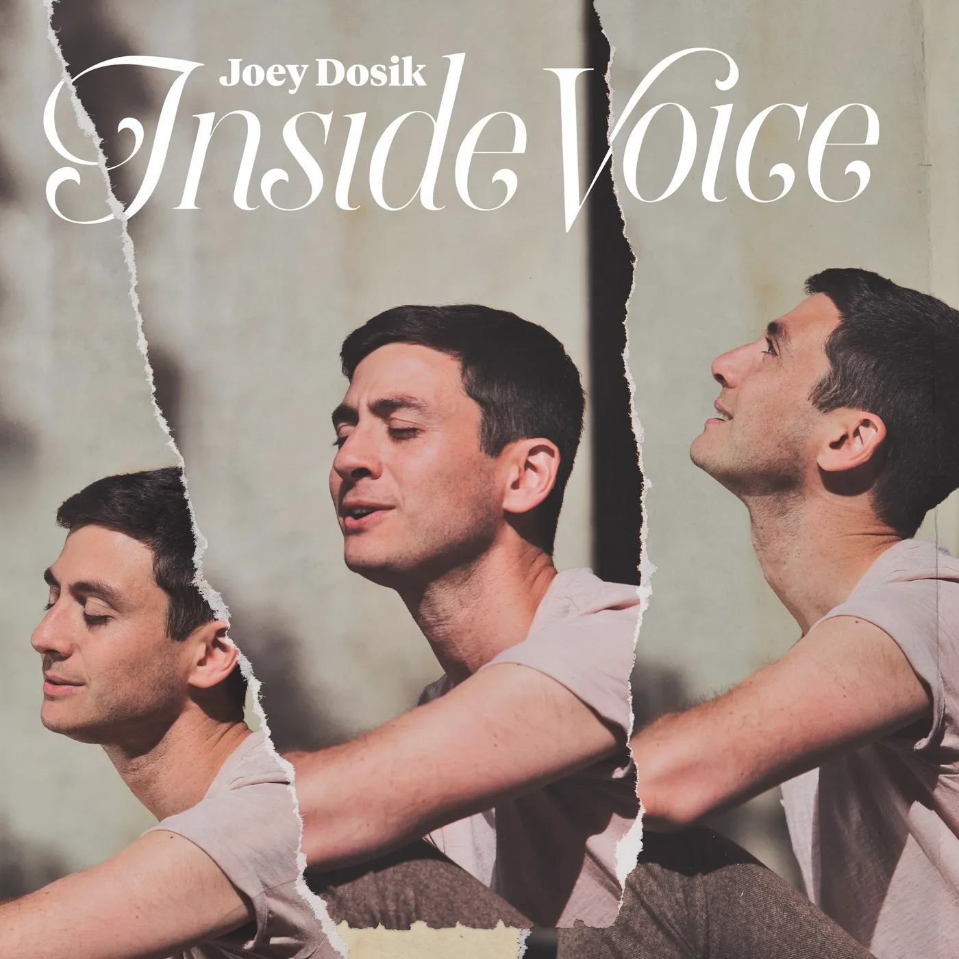 Joey Dosik Inside Voice Vinyl Record