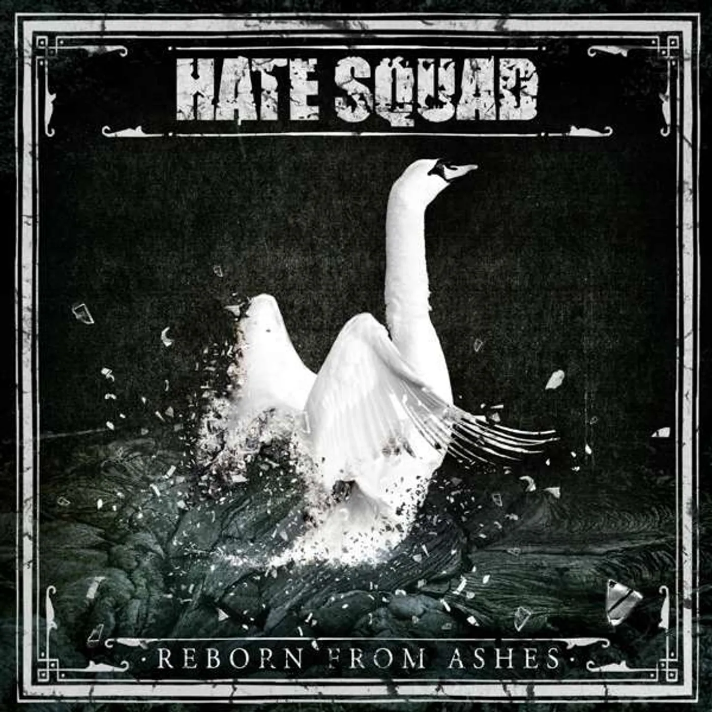 Hate Squad Reborn From Ashes Vinyl Record