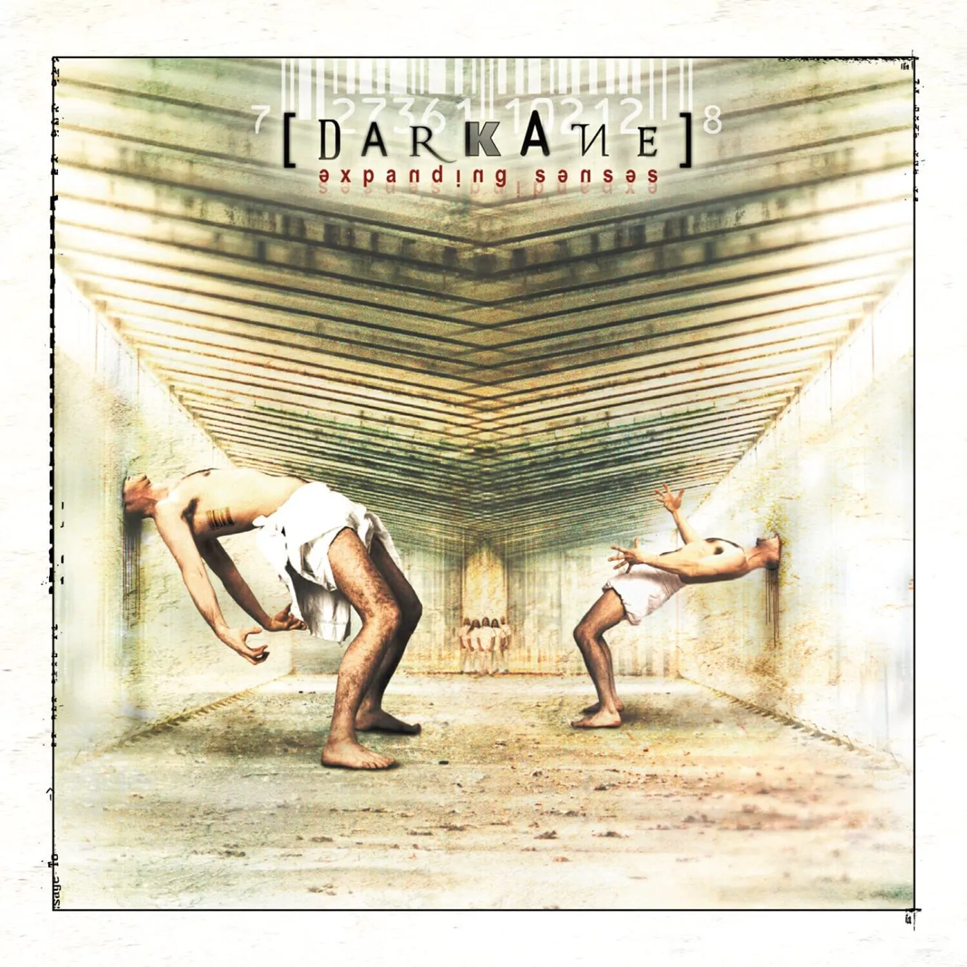 Darkane Expanding Senses Vinyl Record