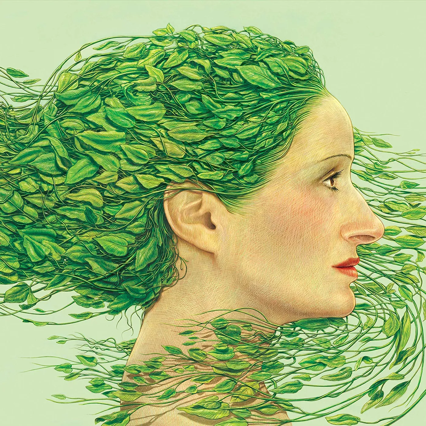 Single Hola Vinyl Record