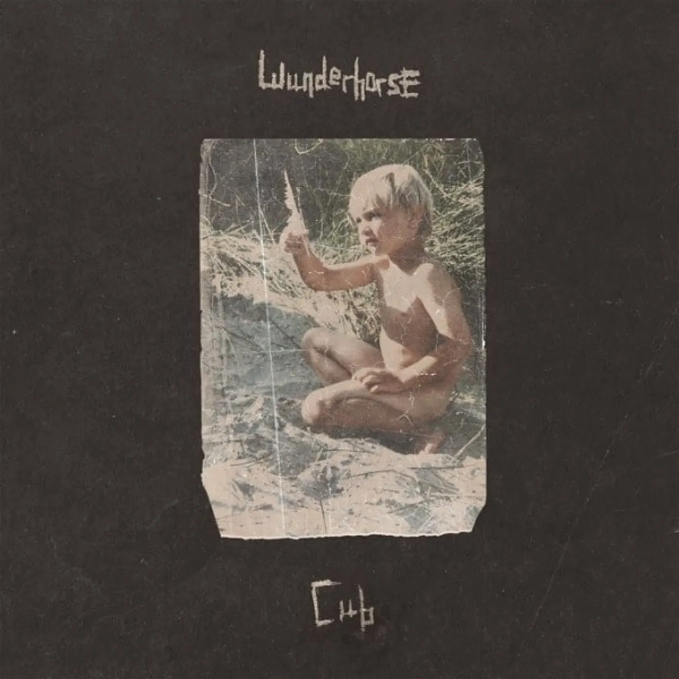 Wunderhorse Cub vinyl record