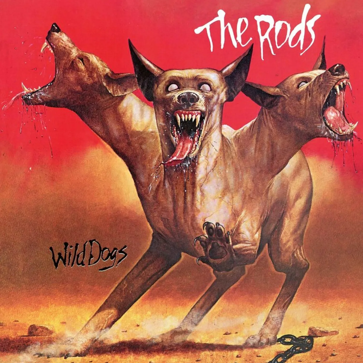 Rods Wild Dogs   Orange Vinyl Record