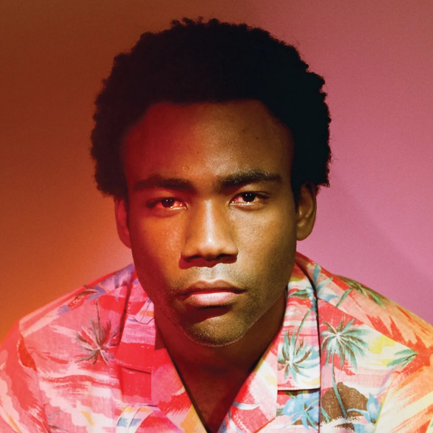 Childish Gambino Because The Internet Vinyl Record