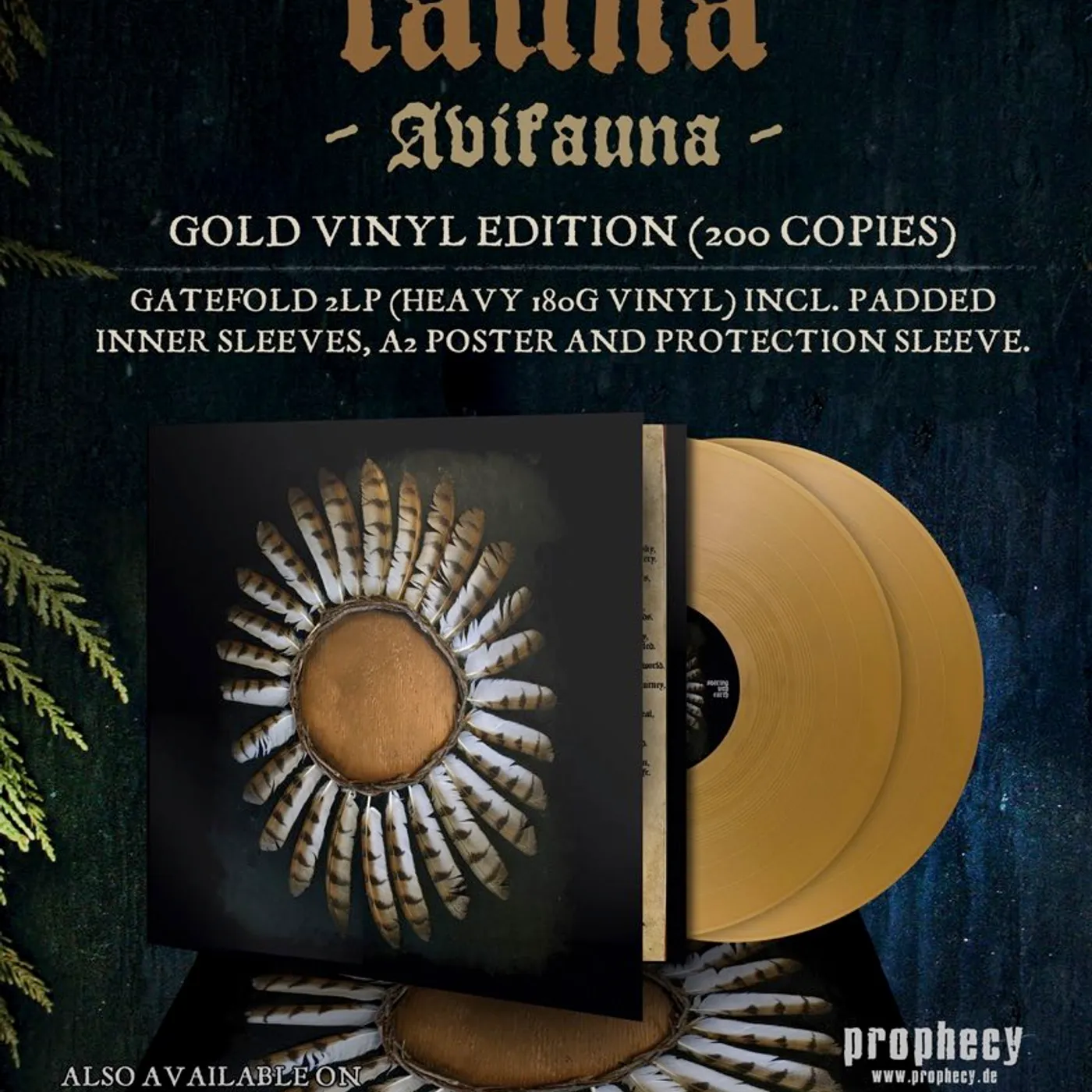 Avifauna Vinyl Record