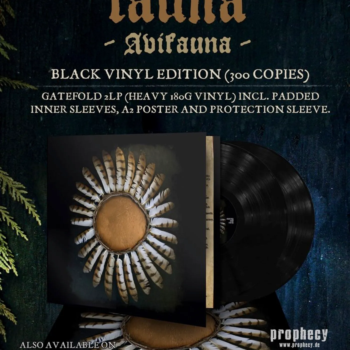 Avifauna Vinyl Record
