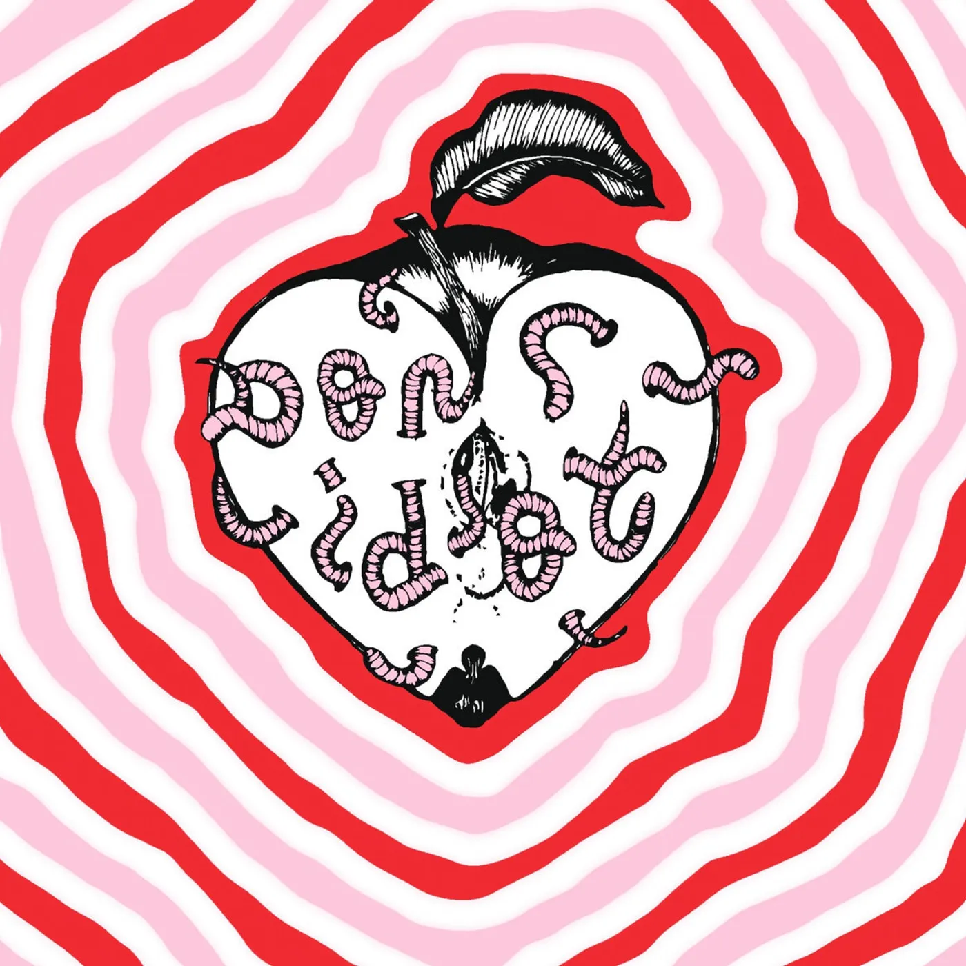 Don Idiot Vinyl Record