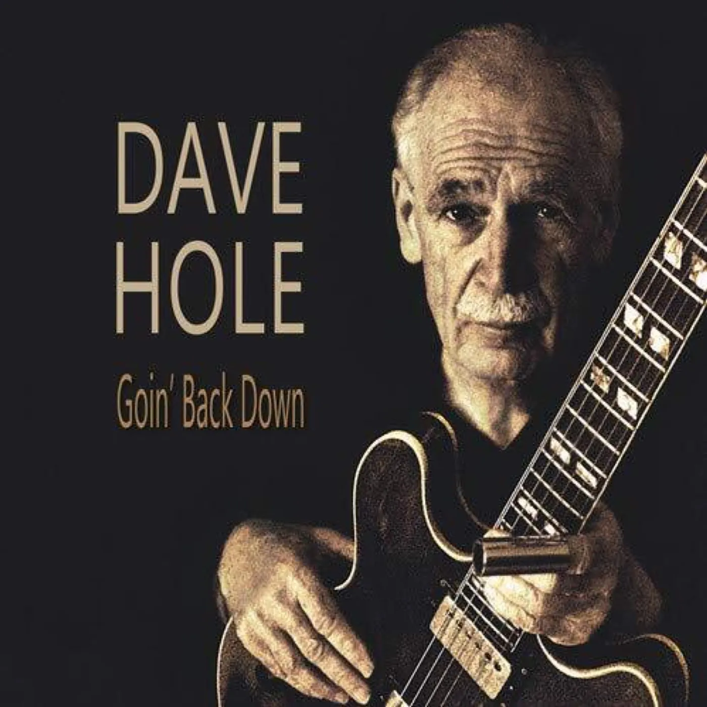 Dave Hole Goin' Back Down Vinyl Record