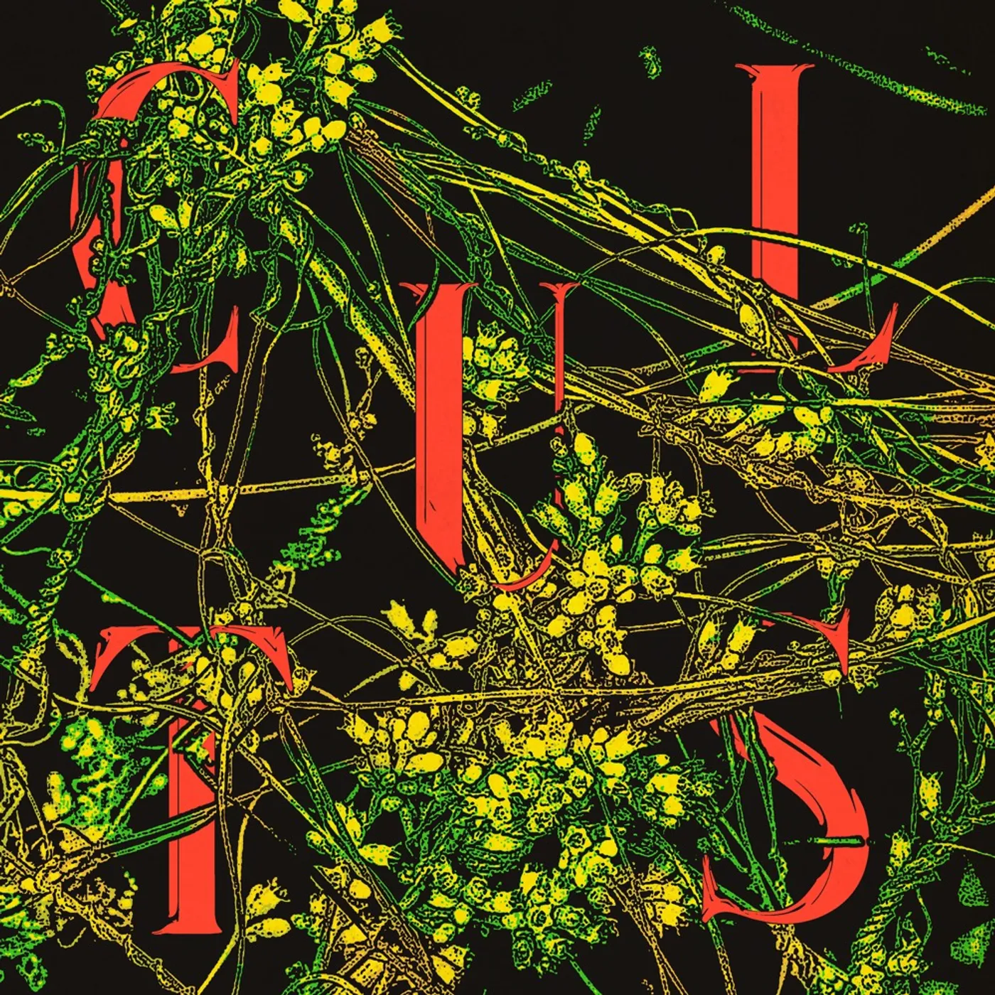 Cults Host Vinyl Record