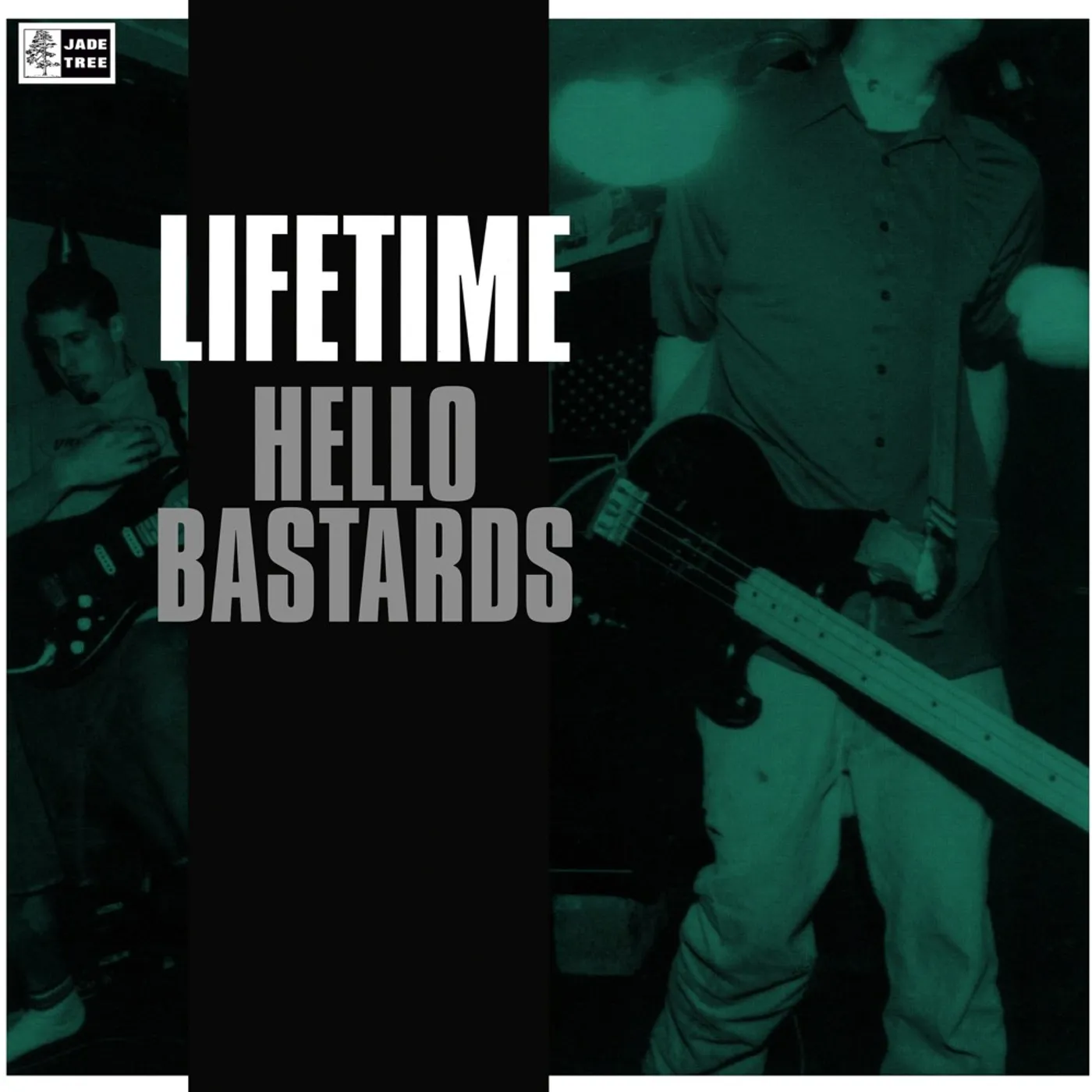 Lifetime Hello Bastards Vinyl Record