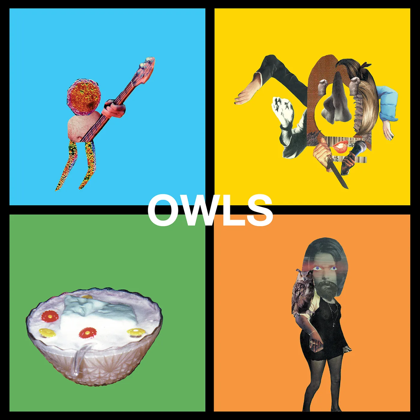 Owls Vinyl Record