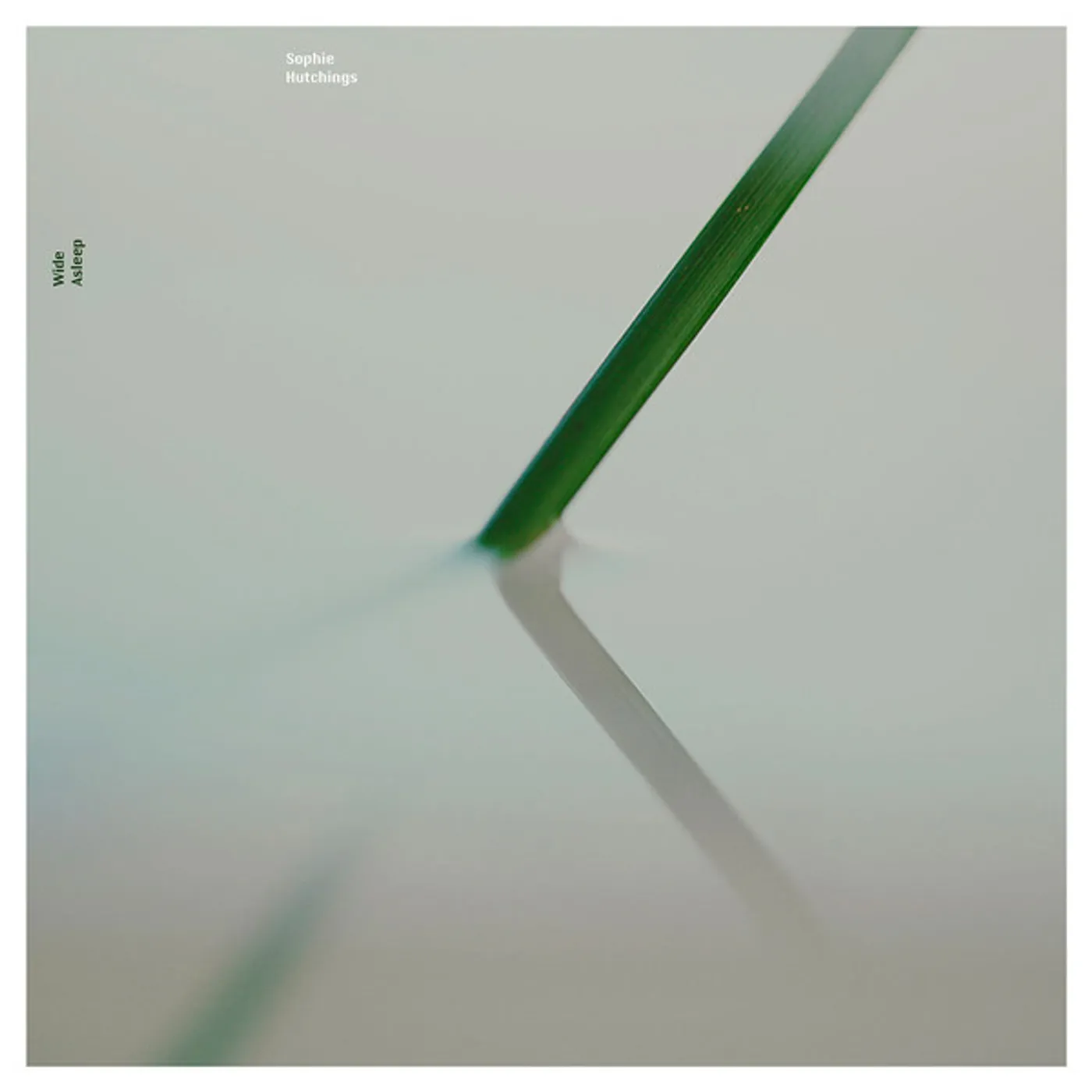 Sophie Hutchings Wide Asleep Vinyl Record