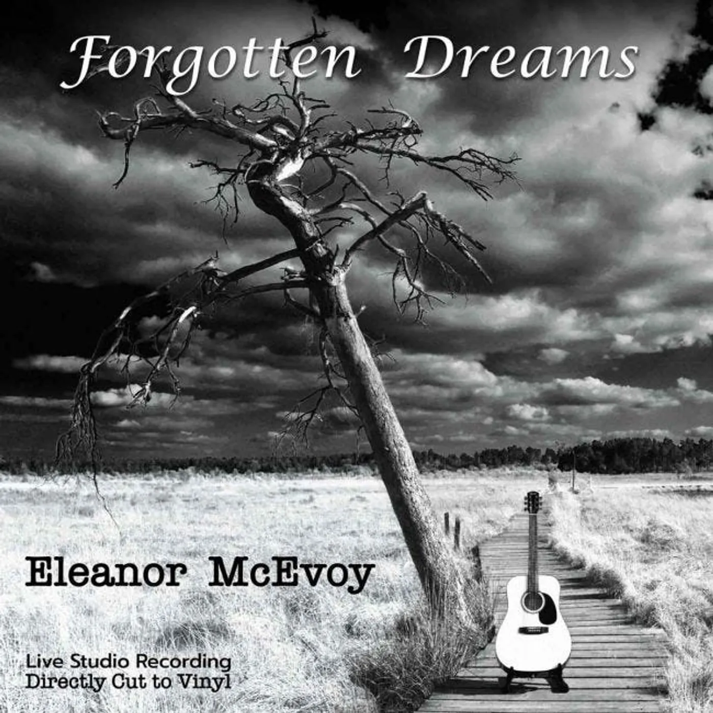 Eleanor McEvoy FORGOTTEN DREAMS Vinyl Record
