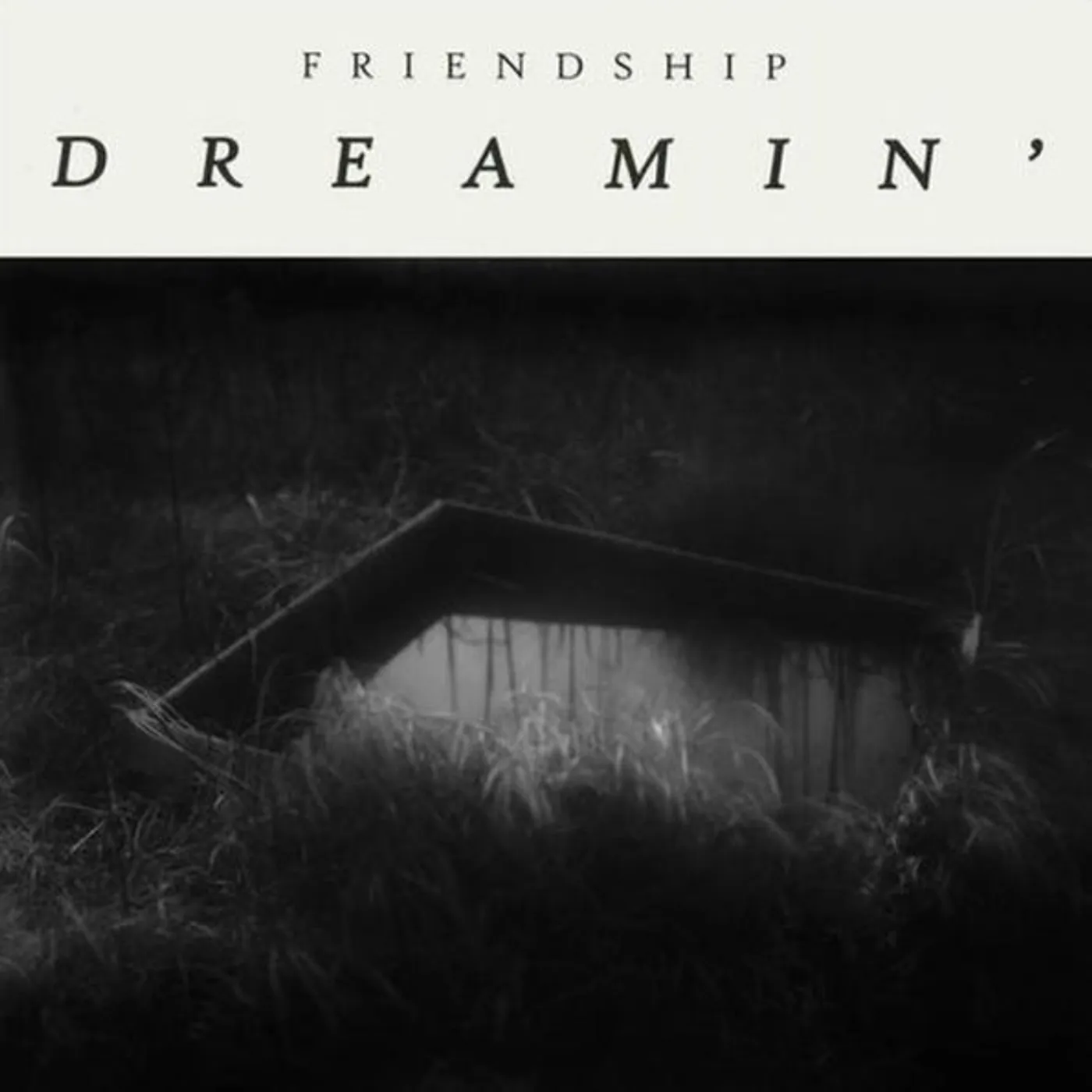 Friendship DREAMIN Vinyl Record
