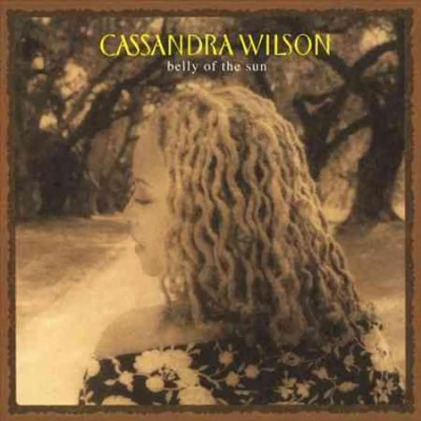Cassandra Wilson Belly Of The Sun Vinyl Record