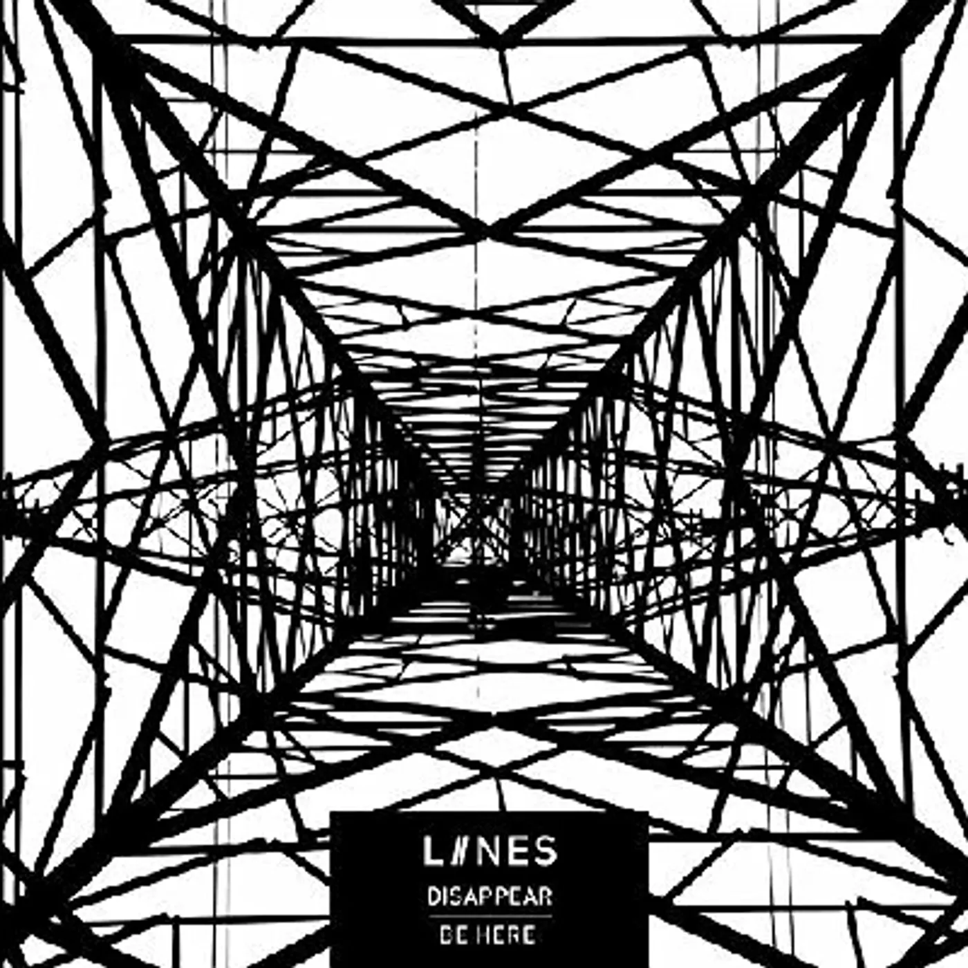 LIINES Disappear/Be Here Vinyl Record