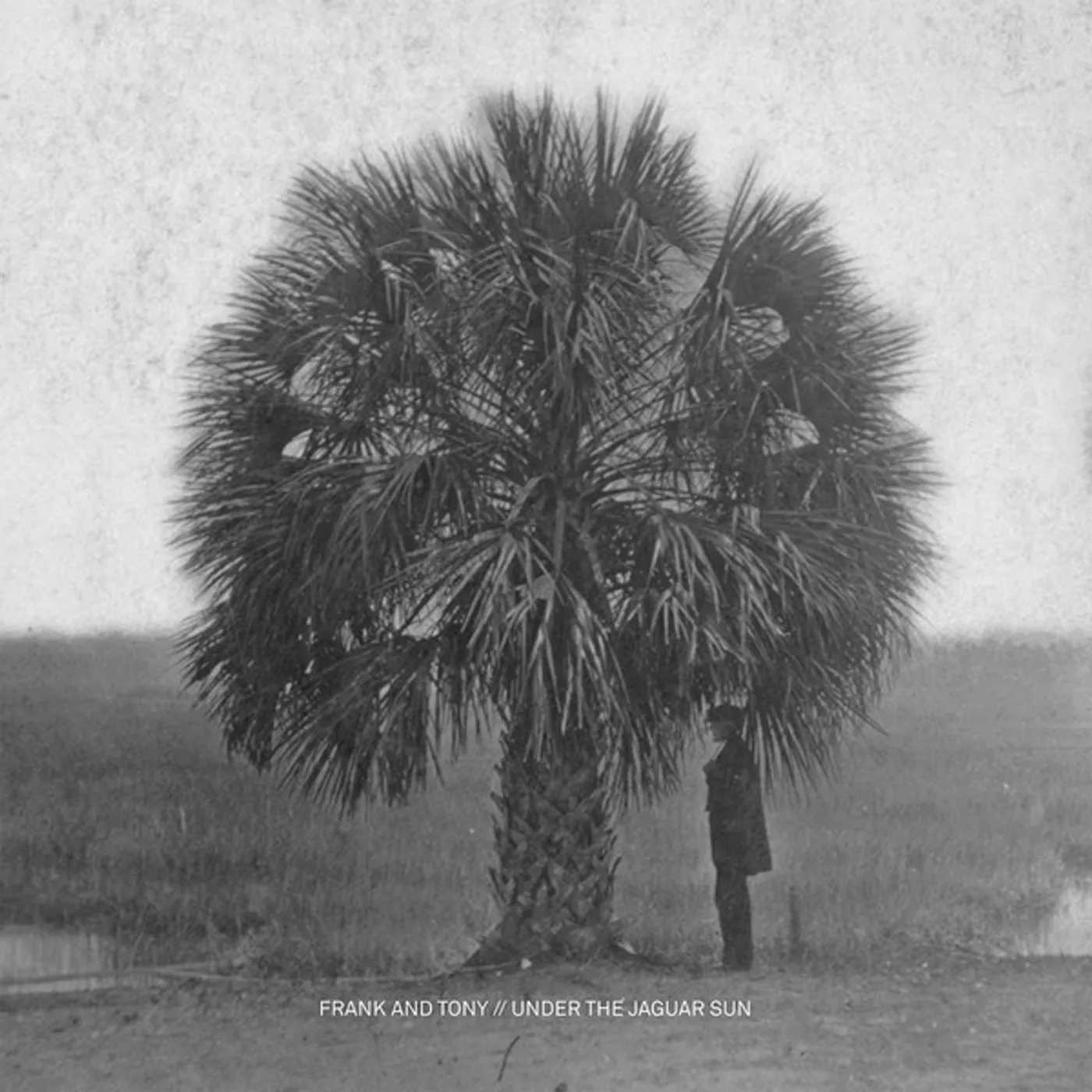 Frank & Tony Under The Jaguar Sun Vinyl Record