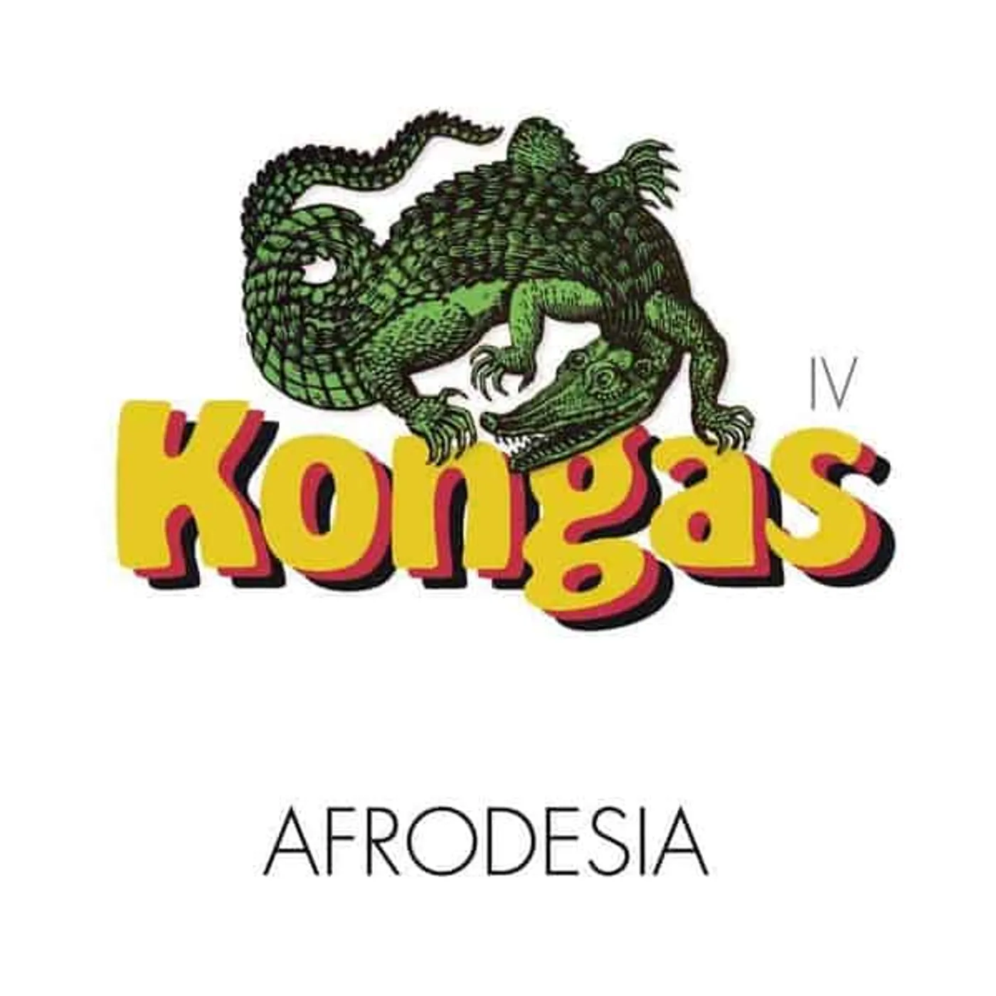 Kongas Afrodesia Vinyl Record