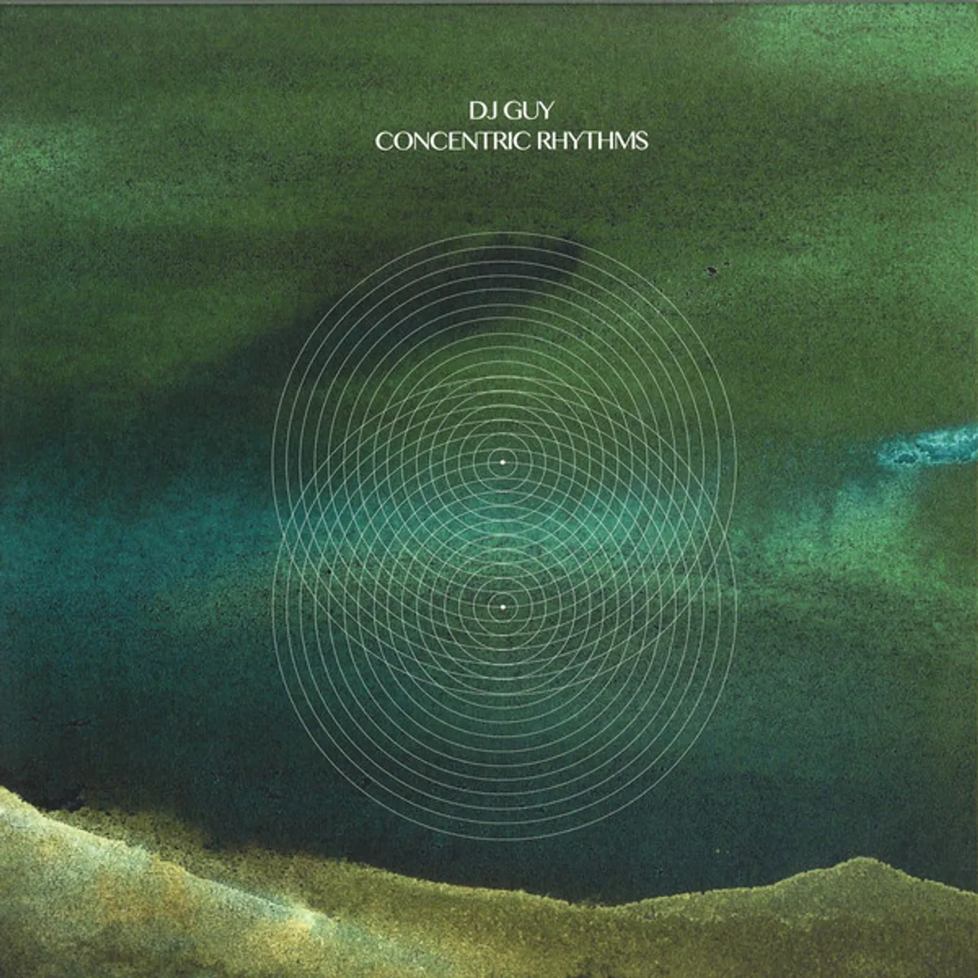 Dj Guy Concentric Rhythms Vinyl Record
