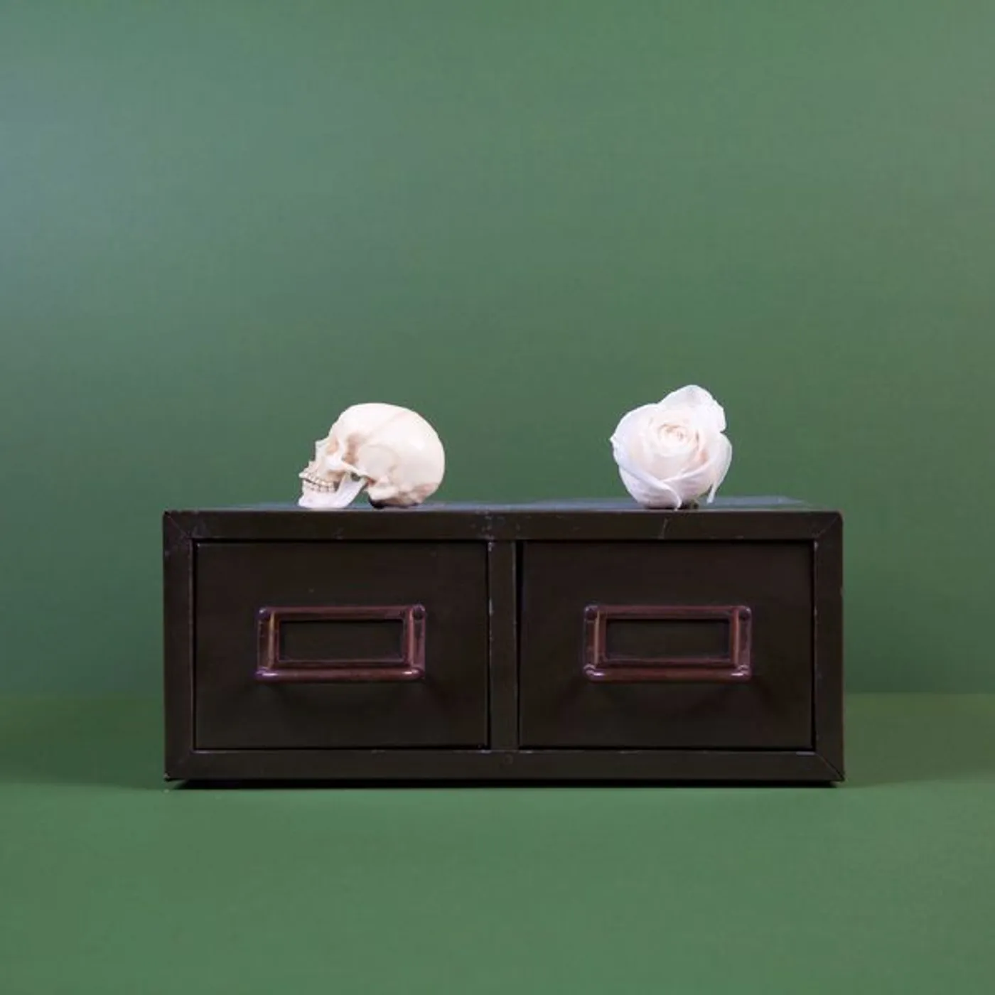 Tropic of Cancer Archive: The Downwards Singles Vinyl Record