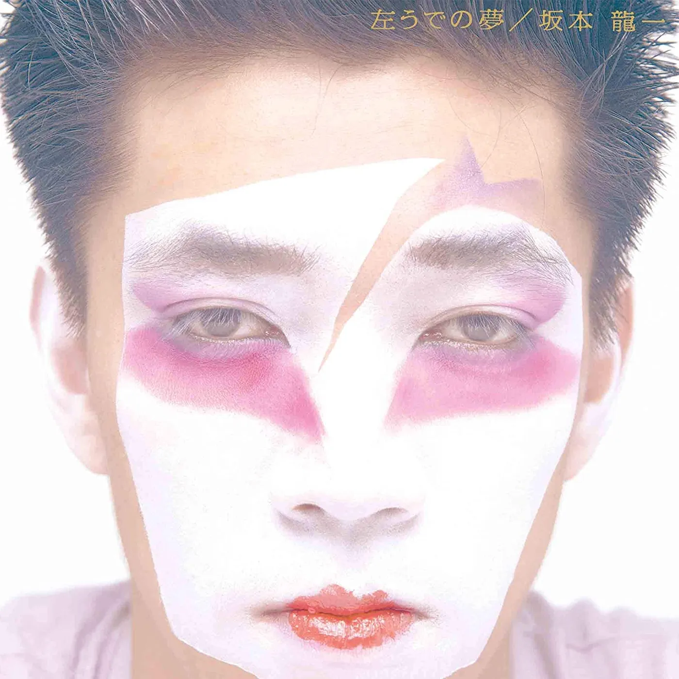 Ryuichi Sakamoto Hidari Ude No Yume CD
