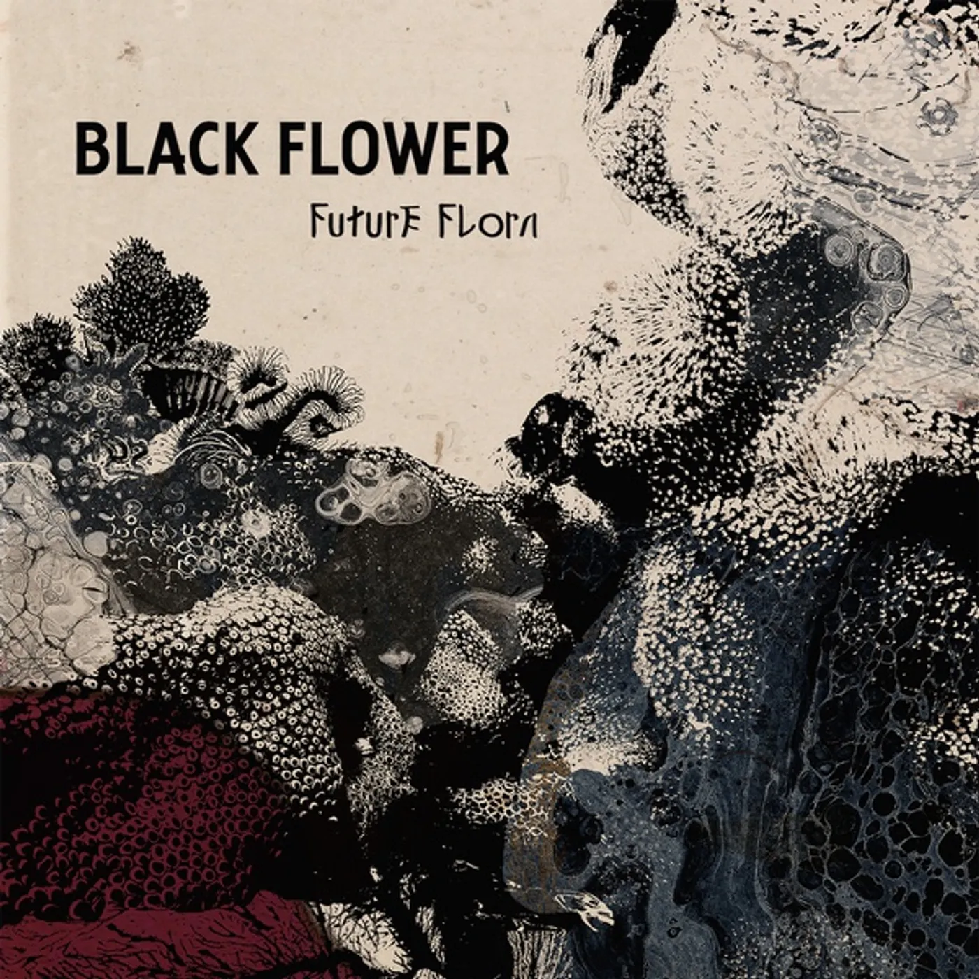 Black Flower Future Flora CD