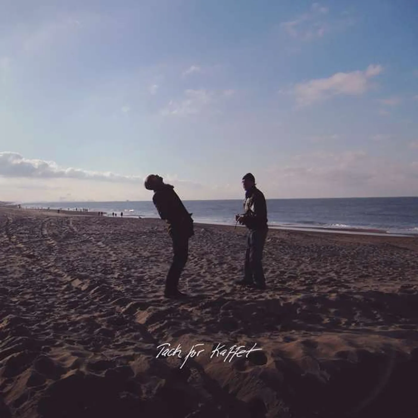 Träd Gräs Och Stenar Tack For Kaffet (So Long) Vinyl Record