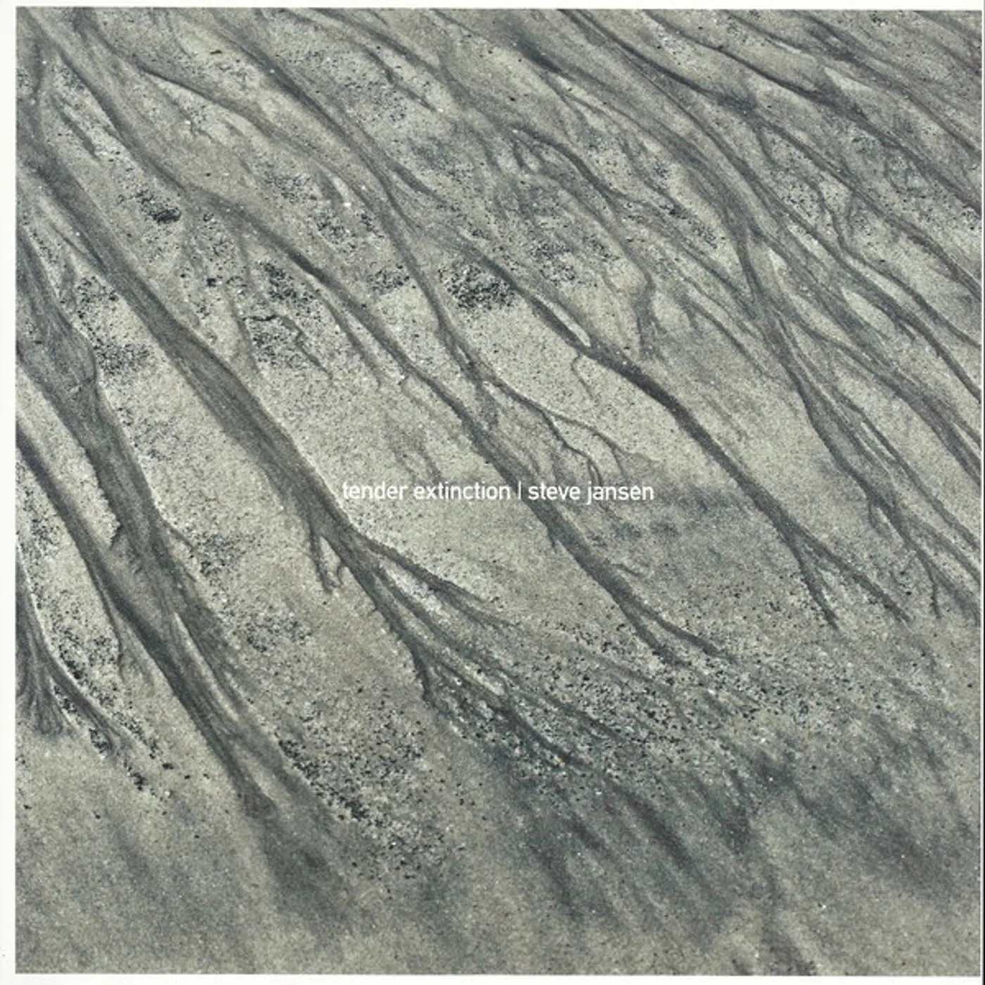 Steve Jansen Tender Extinction Vinyl Record