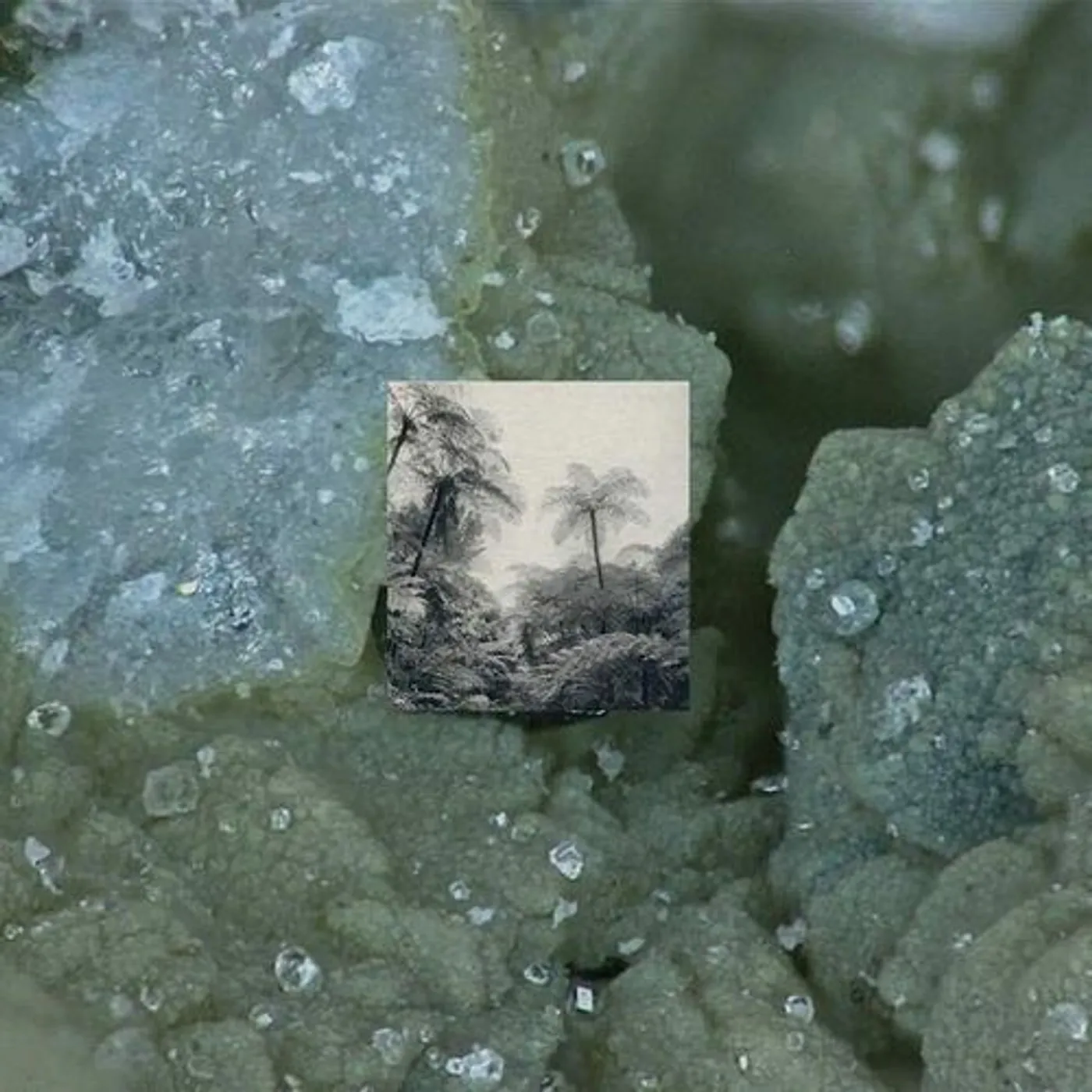 WiDE AWAKE Alienation Effects Vinyl Record