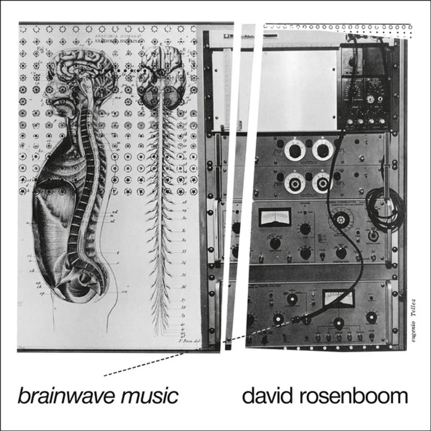 David Rosenboom Brainwave Music Vinyl Record