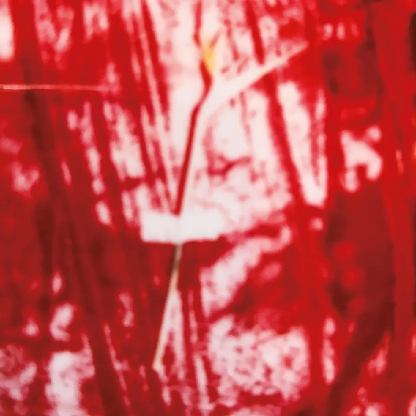 D.A.N. Sundance Vinyl Record