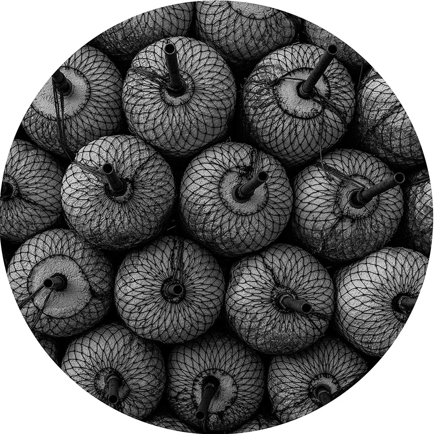 Forest Drive West Parallel Space Ep Vinyl Record