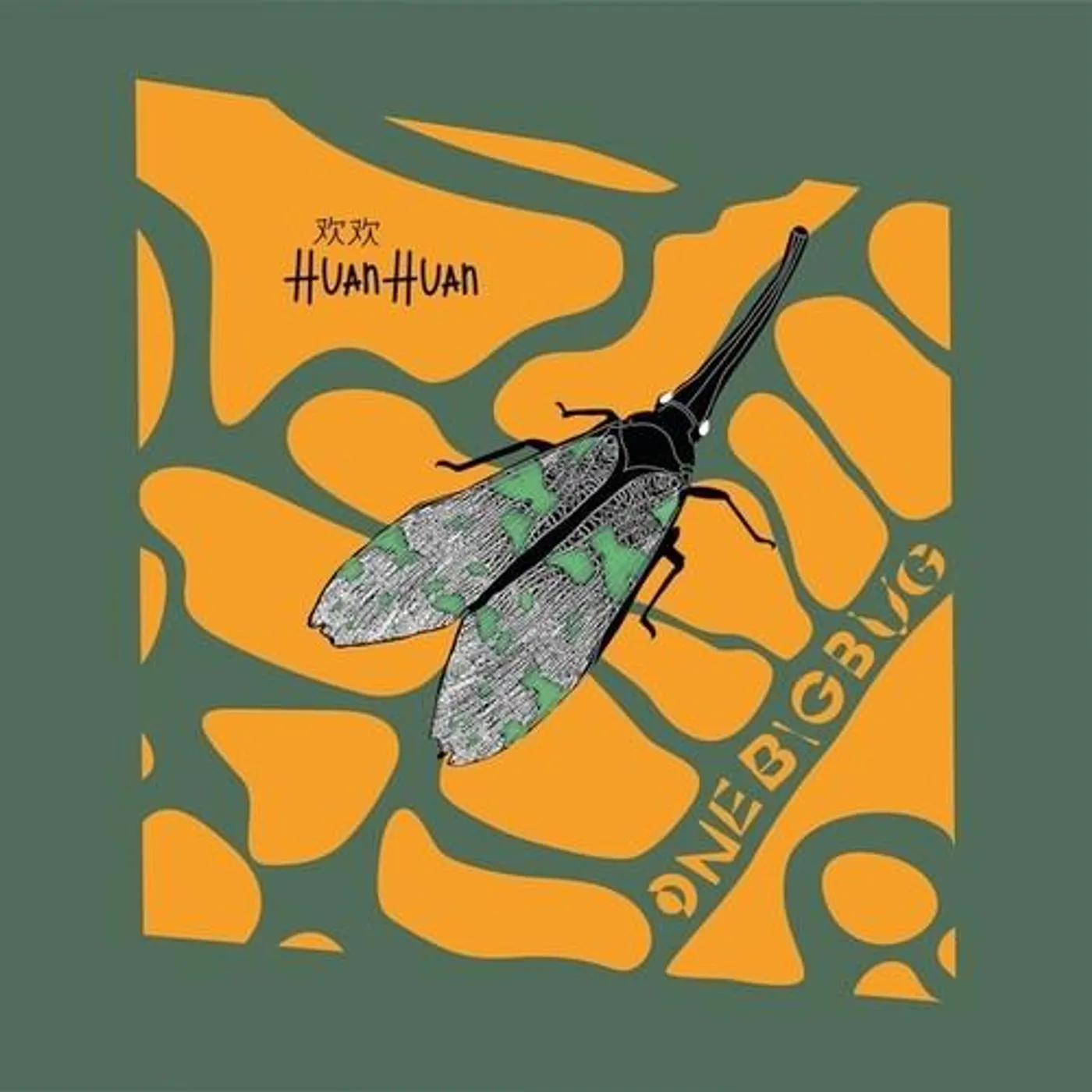 Huan Huan One Big Bug Vinyl Record