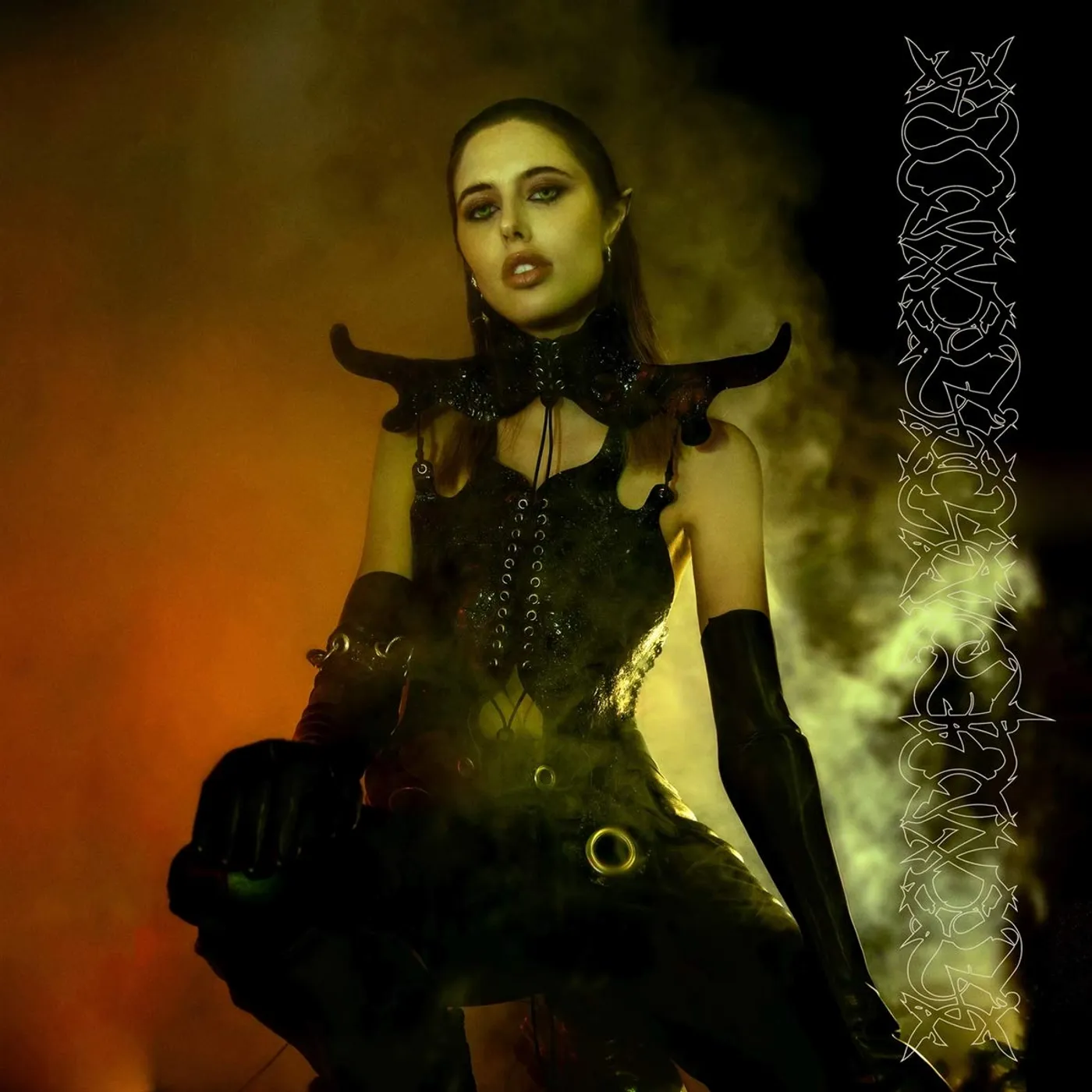 Ptwiggs Darkening of light Vinyl Record