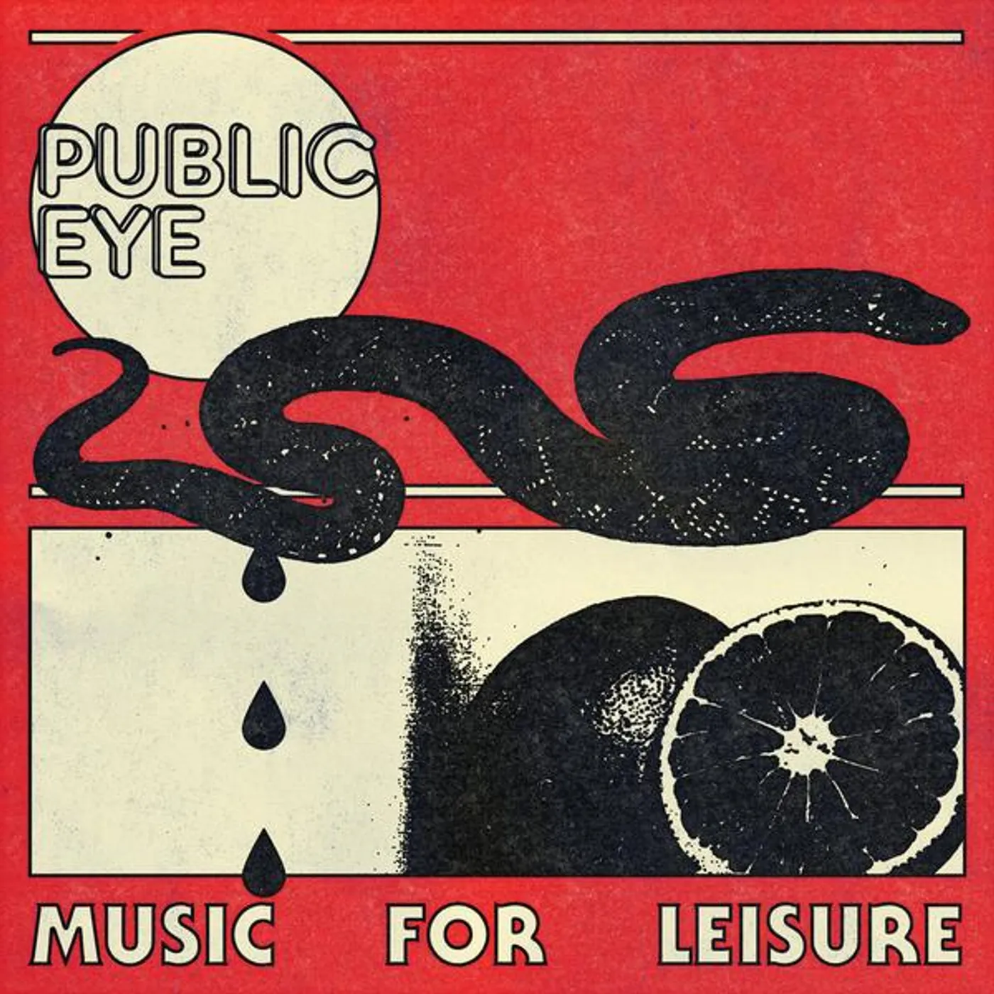 Public Eye Music For Leisure Vinyl Record