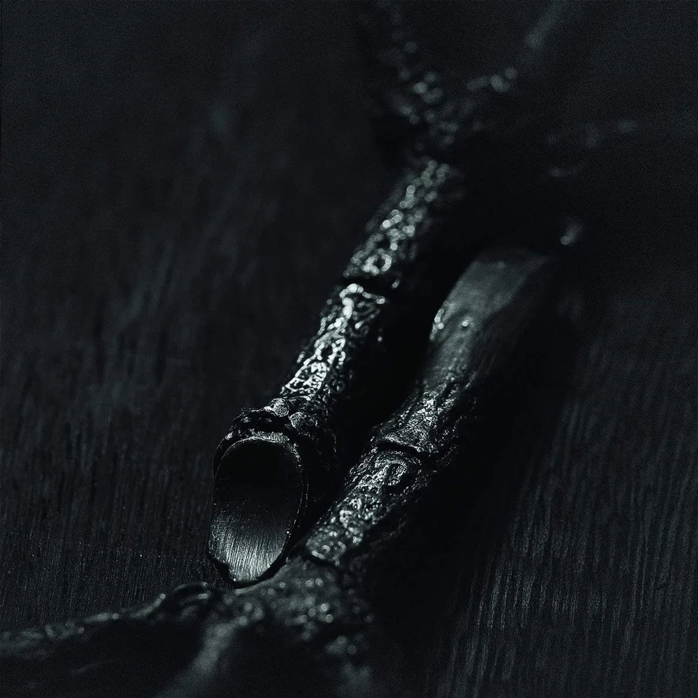 Trepaneringsritualen Algir; Eller Algir I Merkstave Vinyl Record