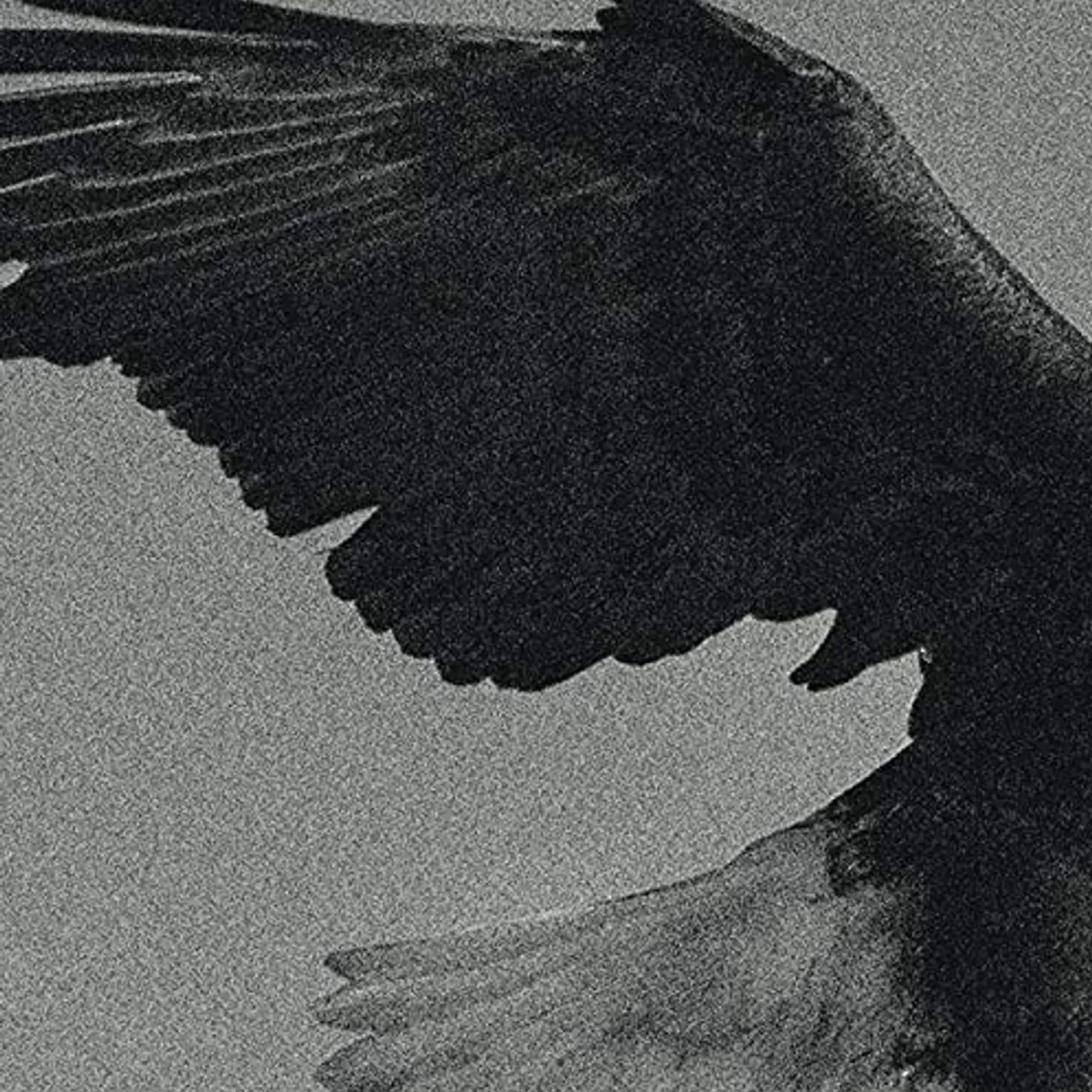 Dissemblance Over the Sand Vinyl Record