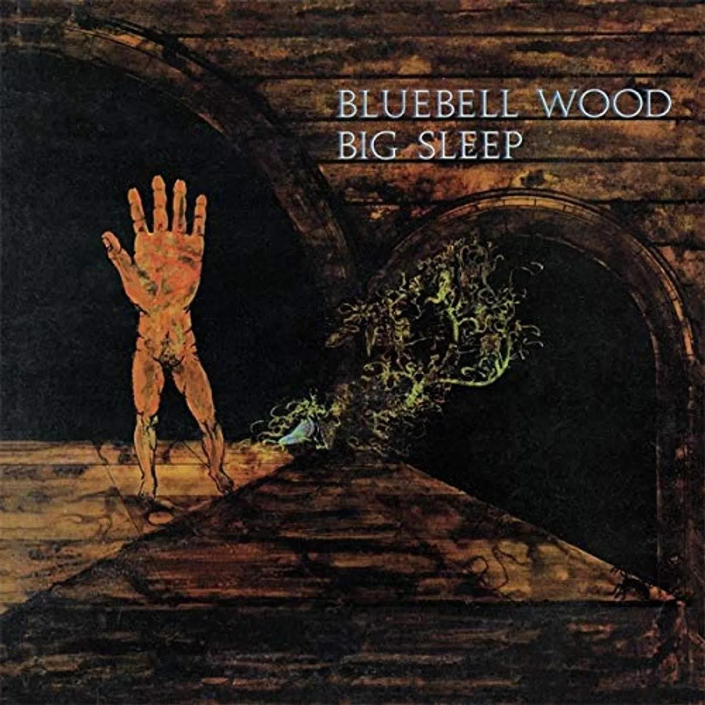 The Big Sleep Bluebell wood Vinyl Record