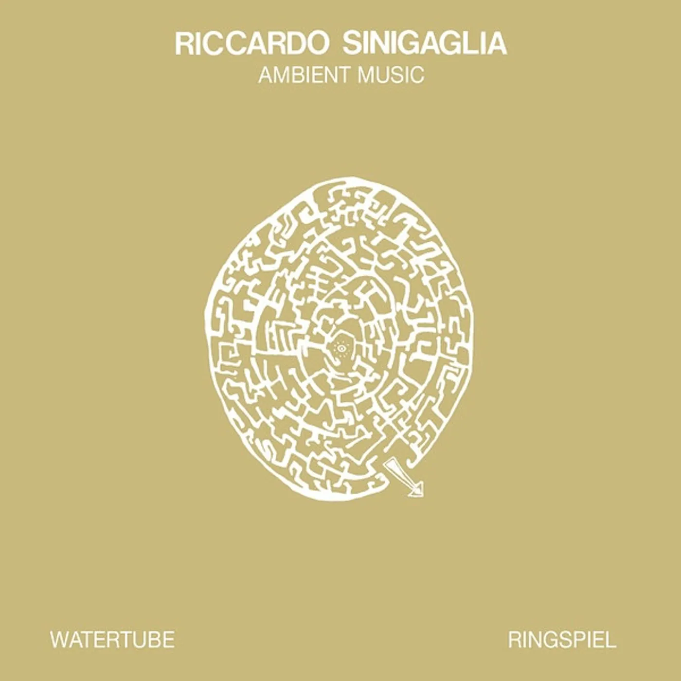 Riccardo Sinigaglia Ambient Music Vinyl Record