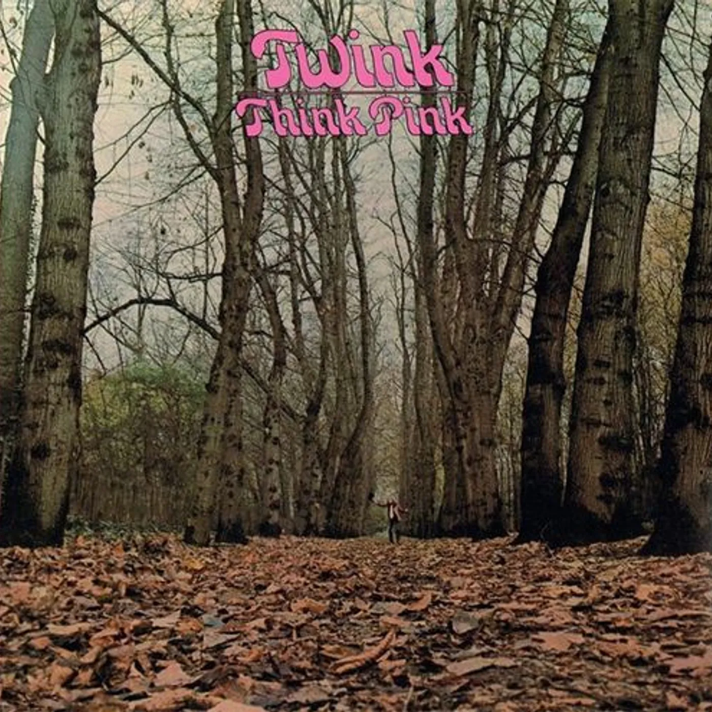 Twink Think Pink Vinyl Record